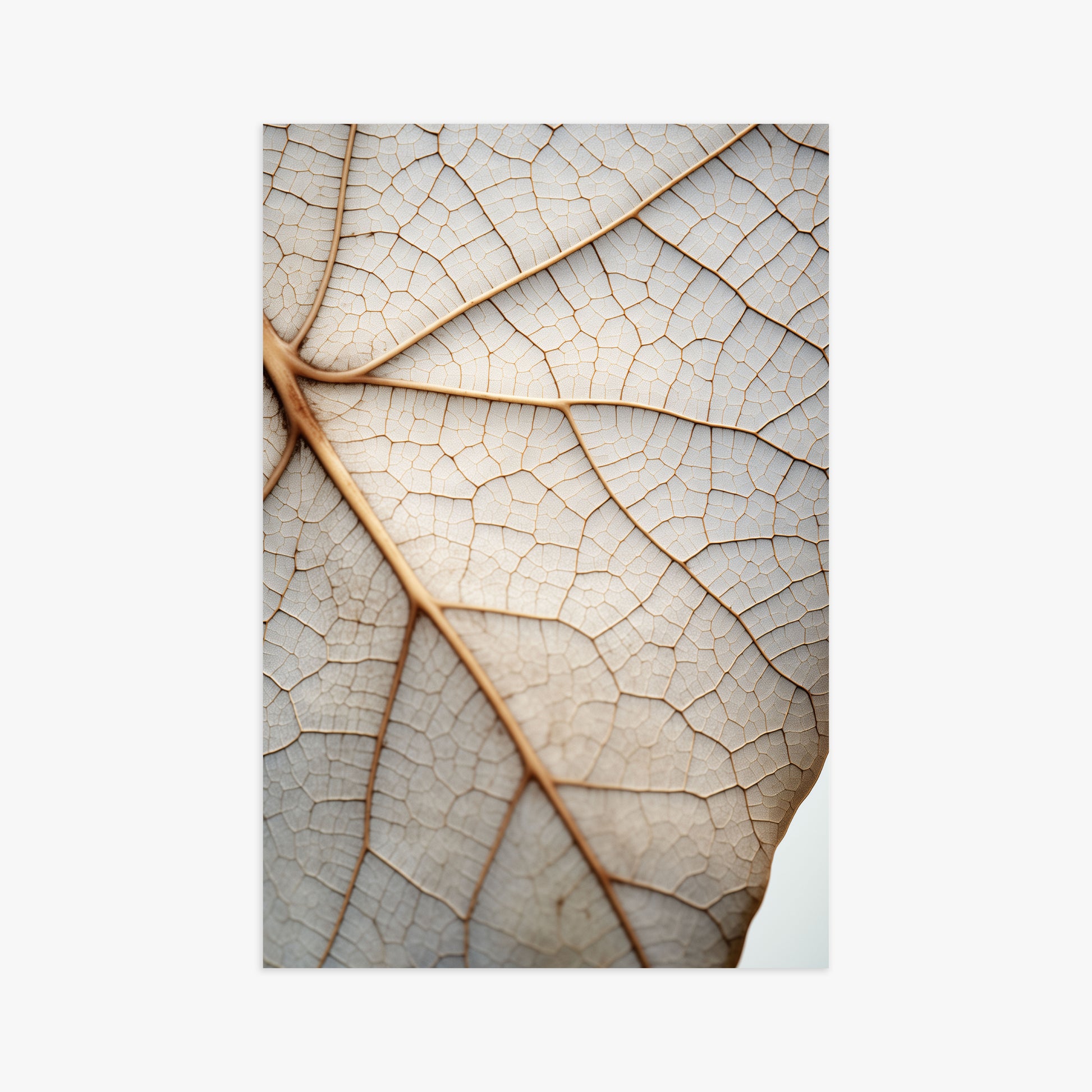 Veins of Nature, 61x91cm Poster Unframed