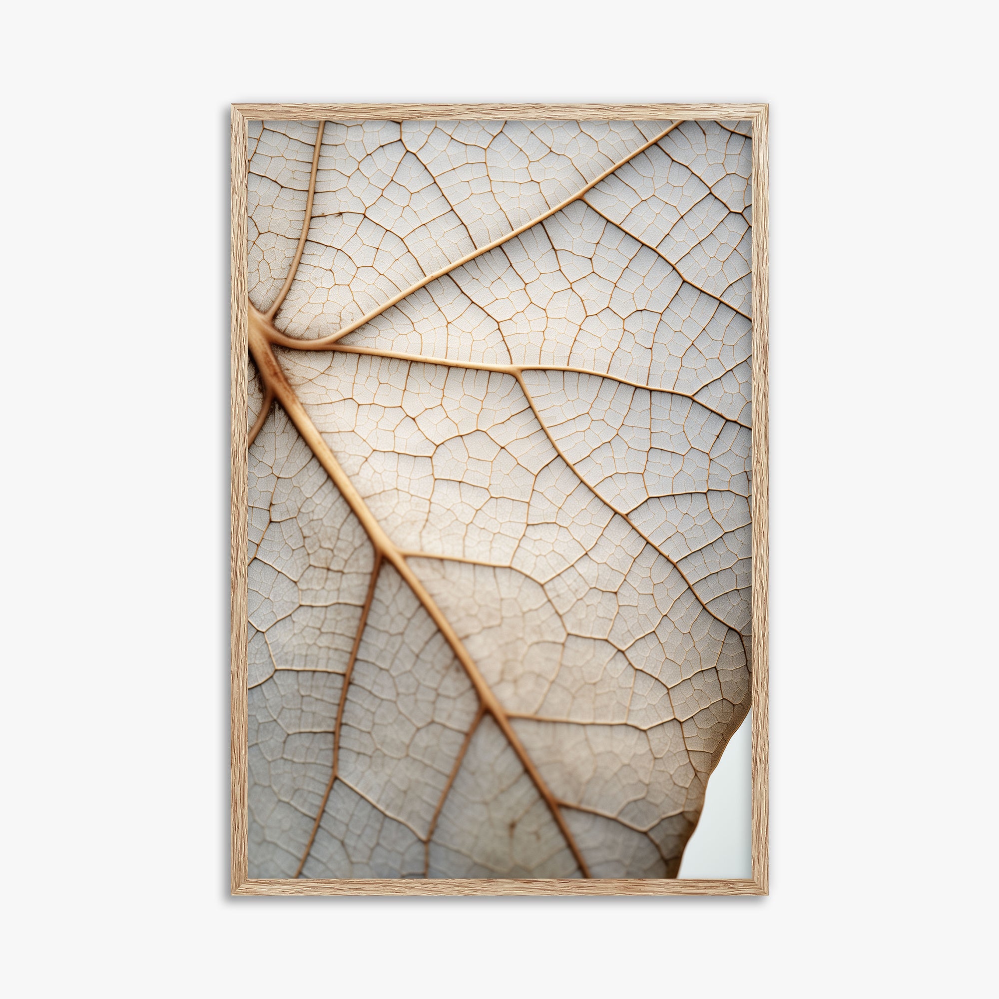 Veins of Nature, 61x91cm Framed Poster With Raw Oak Frame