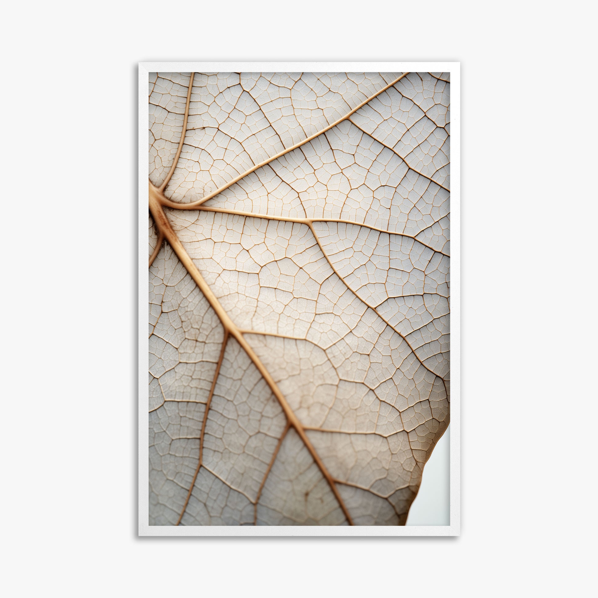 Veins of Nature, 61x91cm Framed Poster With White Frame