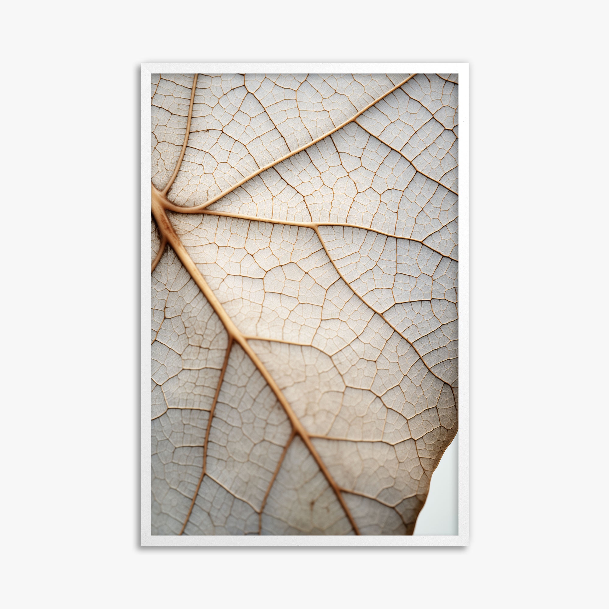 Veins of Nature, 61x91cm Framed Poster With White Frame