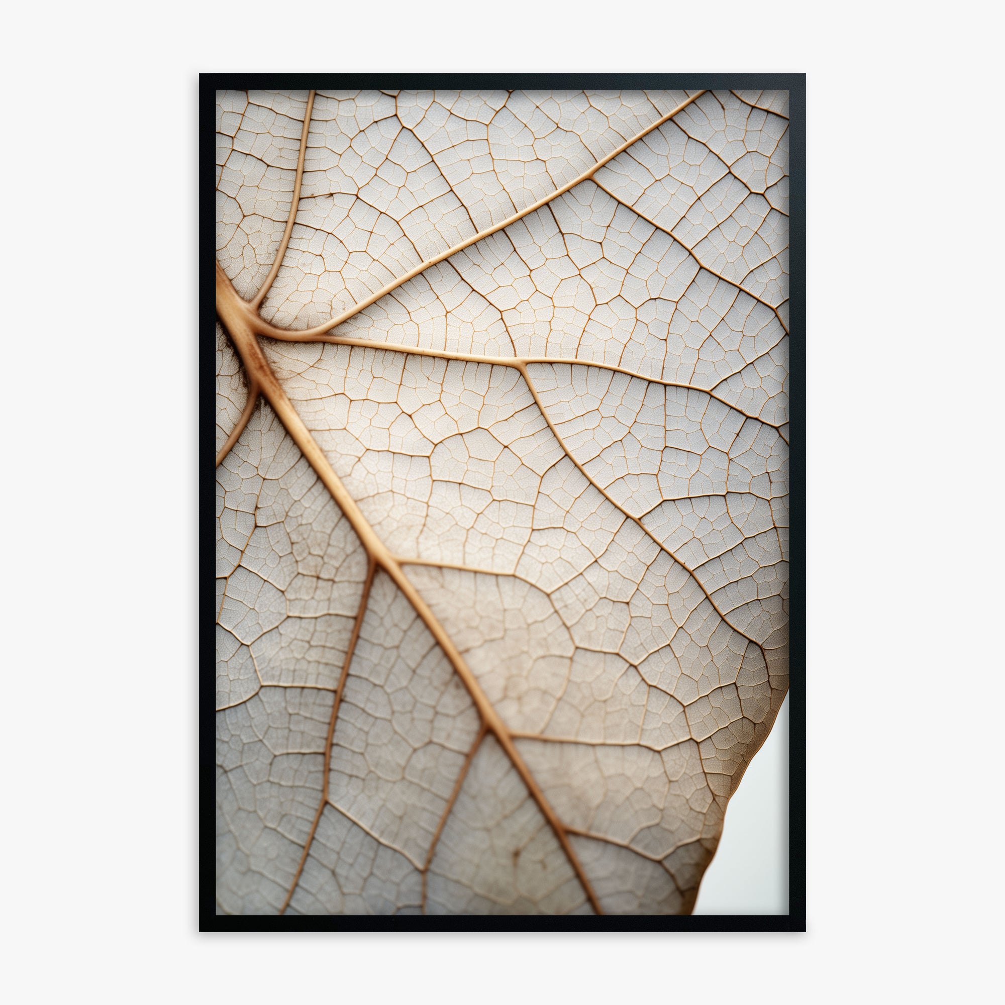 Veins of Nature, Black Framed Poster With Black Frame
