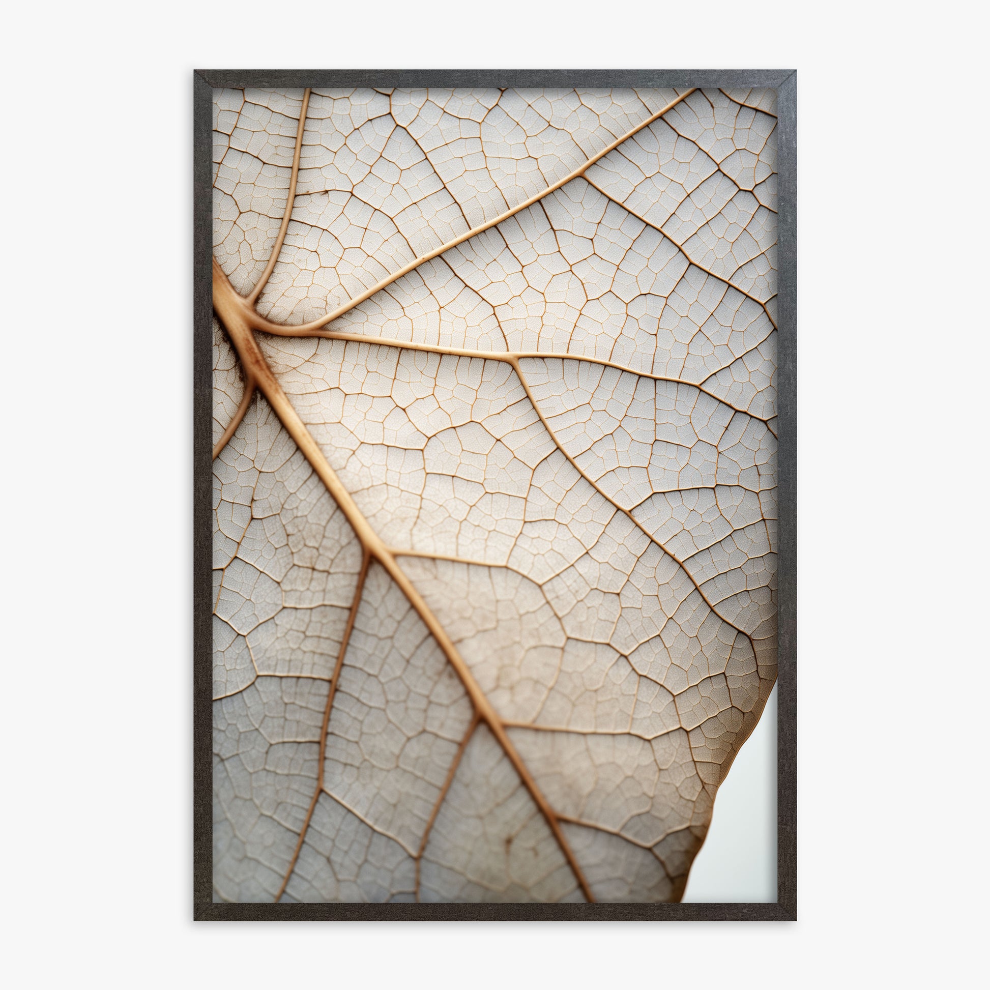 Veins of Nature, 70x100cm Framed Poster With Espresso Frame