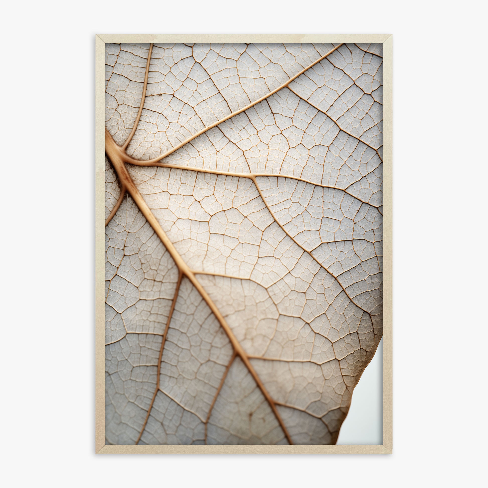 Veins of Nature, 70x100cm Framed Poster With Lime Wood Frame
