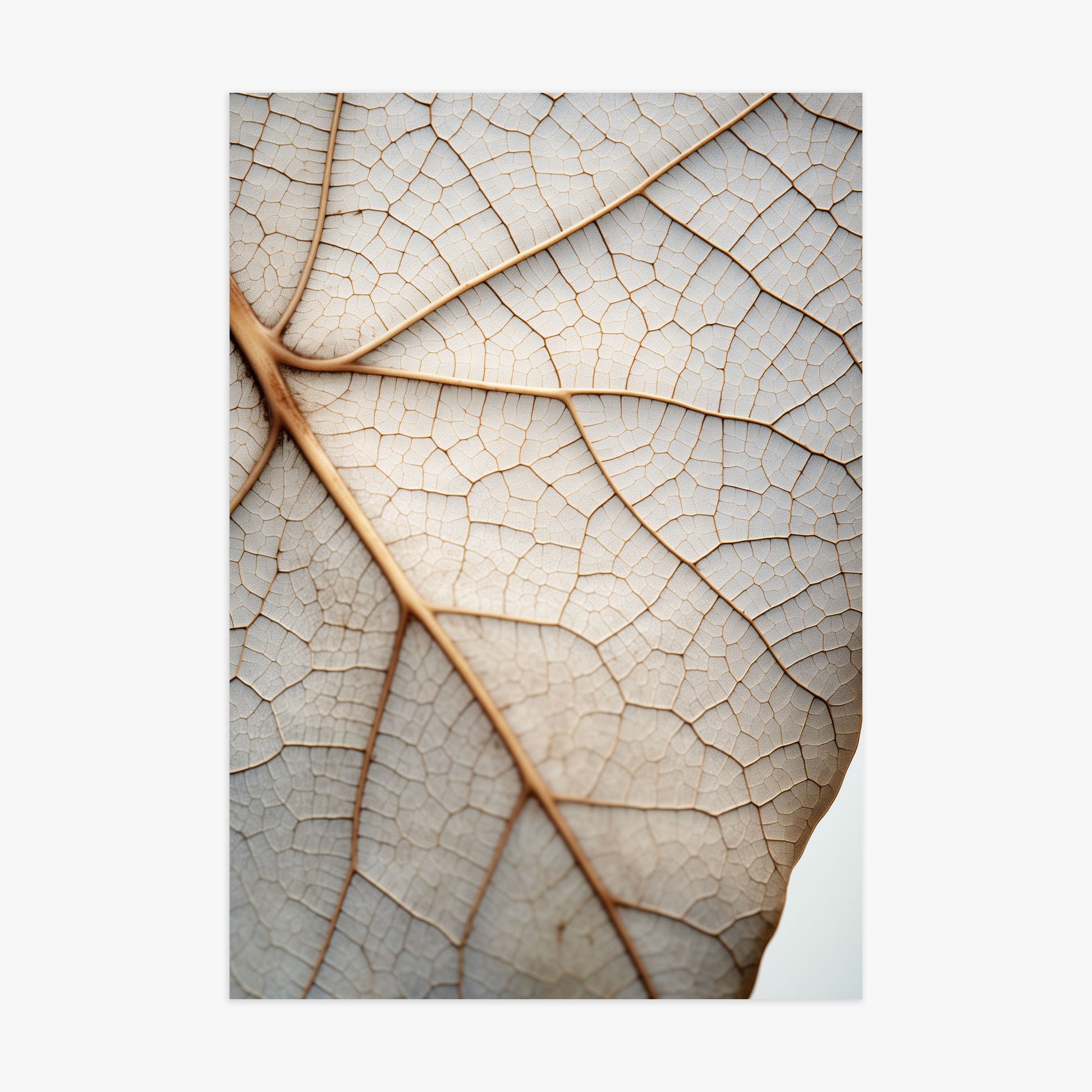 Veins of Nature, 70x100cm Poster Unframed