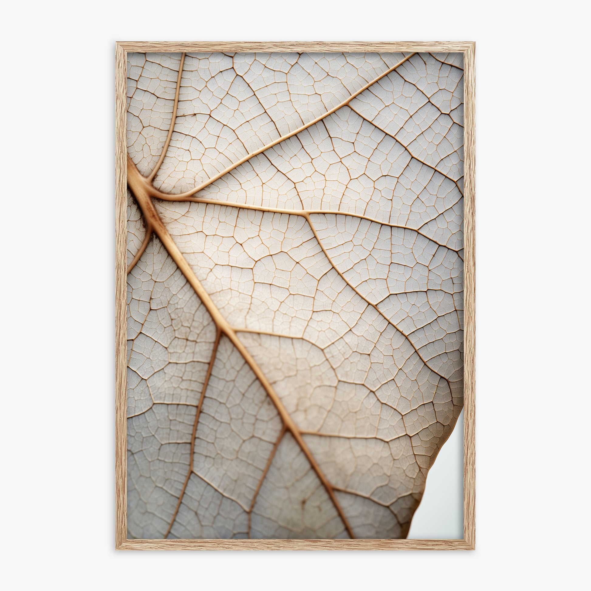 Veins of Nature, 70x100cm Framed Poster With Raw Oak Frame