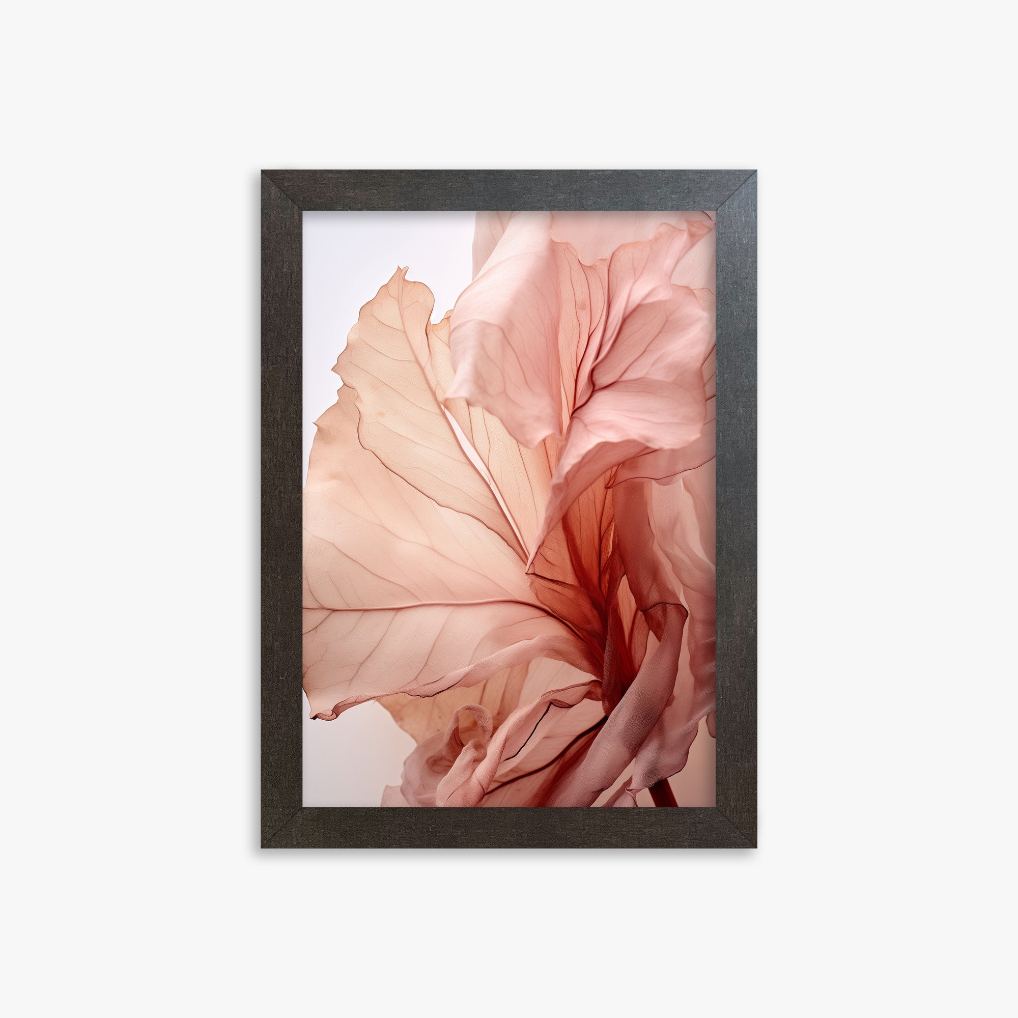 Blush Petal Symphony, 21x30cm Framed Art Reproduction With Espresso Frame