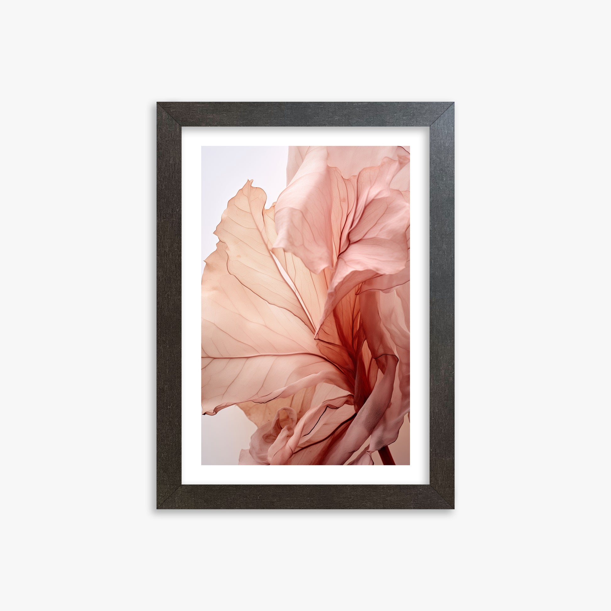 Blush Petal Symphony, 21x30cm Framed Art Reproduction With Espresso Frame
