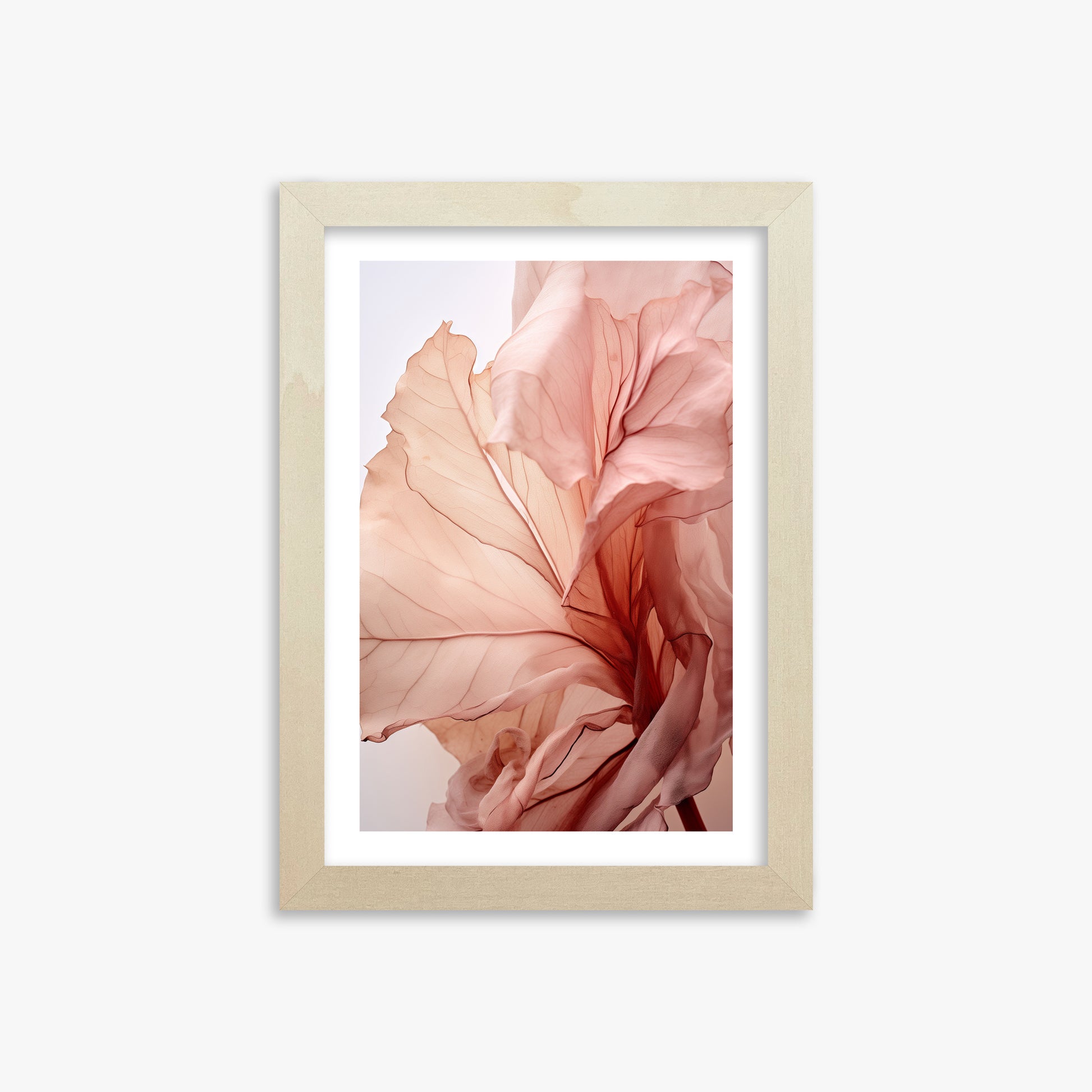 Blush Petal Symphony, 21x30cm Framed Art Reproduction With Lime Wood Frame