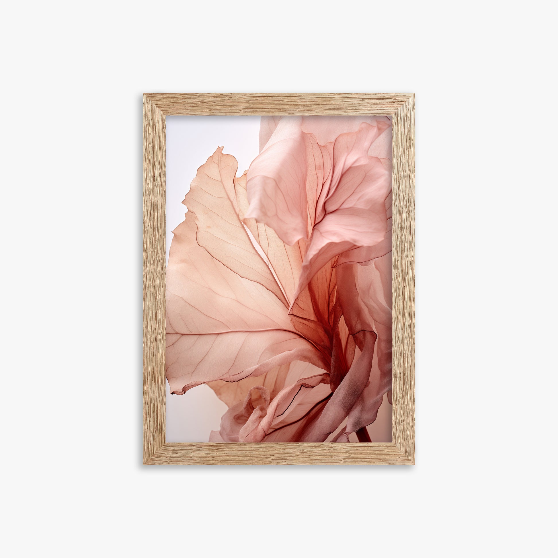 Blush Petal Symphony, 21x30cm Framed Art Reproduction With Raw Oak Frame