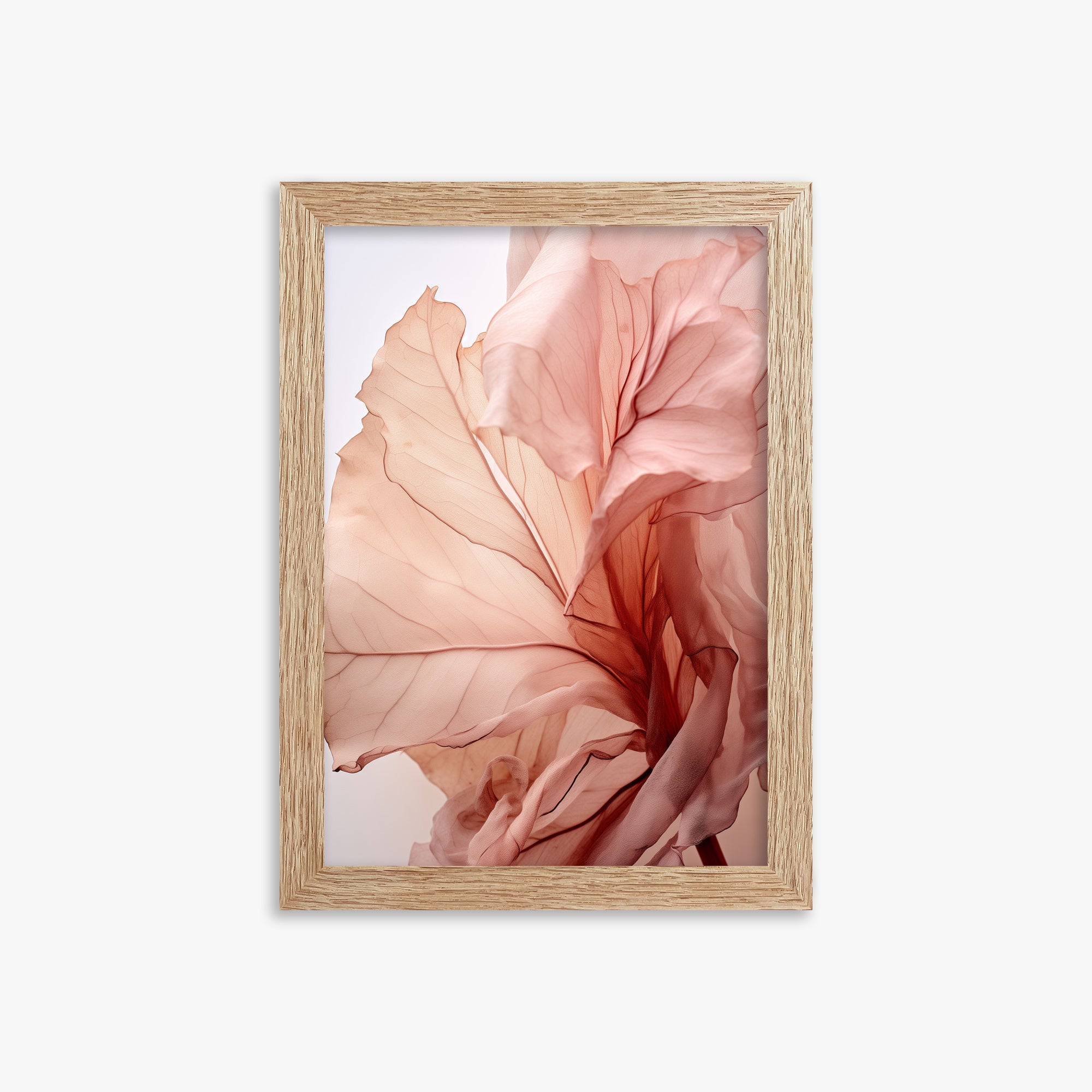 Blush Petal Symphony, 21x30cm Framed Art Reproduction With Raw Oak Frame