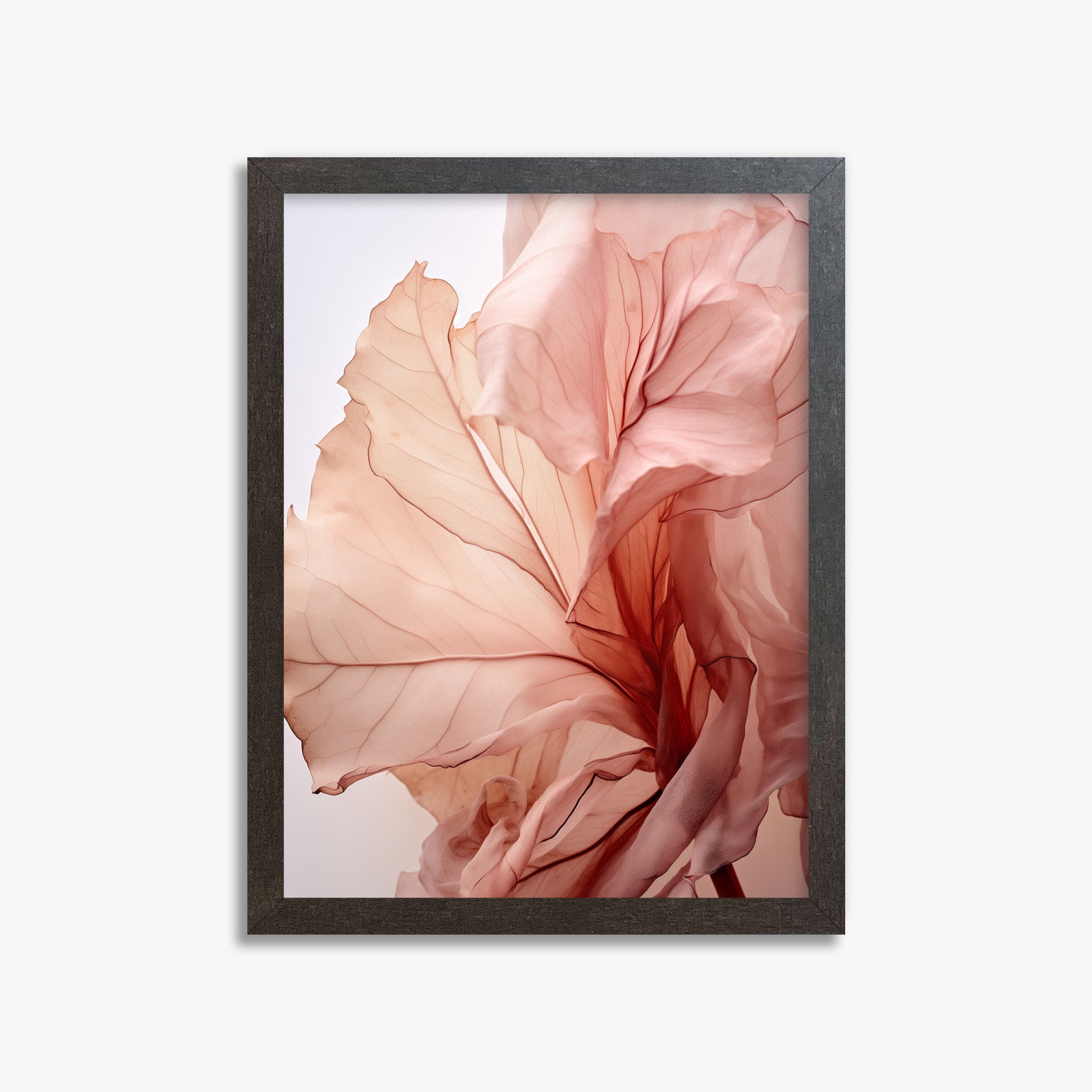 Blush Petal Symphony, 30x40cm Framed Art Reproduction With Espresso Frame