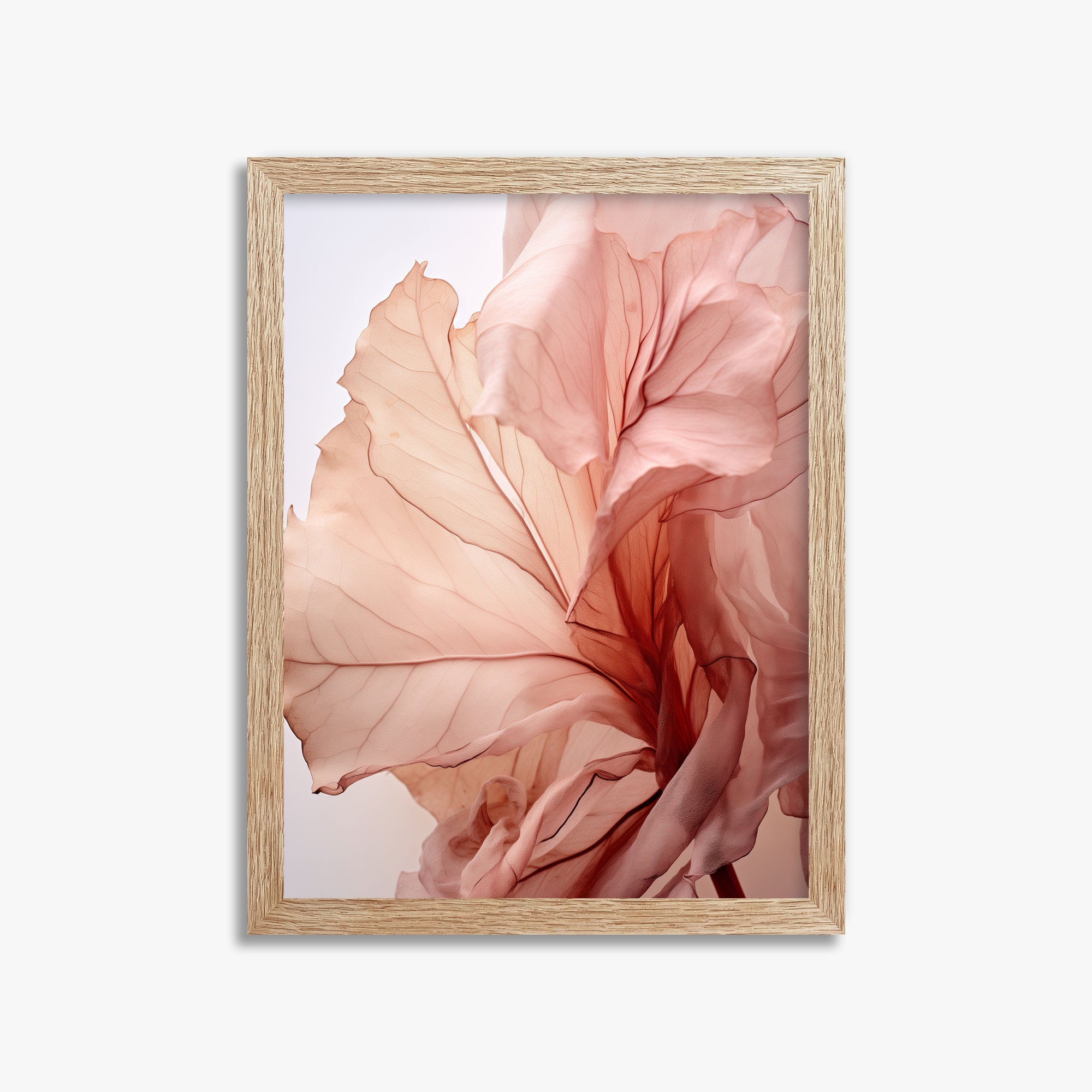 Blush Petal Symphony, 30x40cm Framed Art Reproduction With Raw Oak Frame