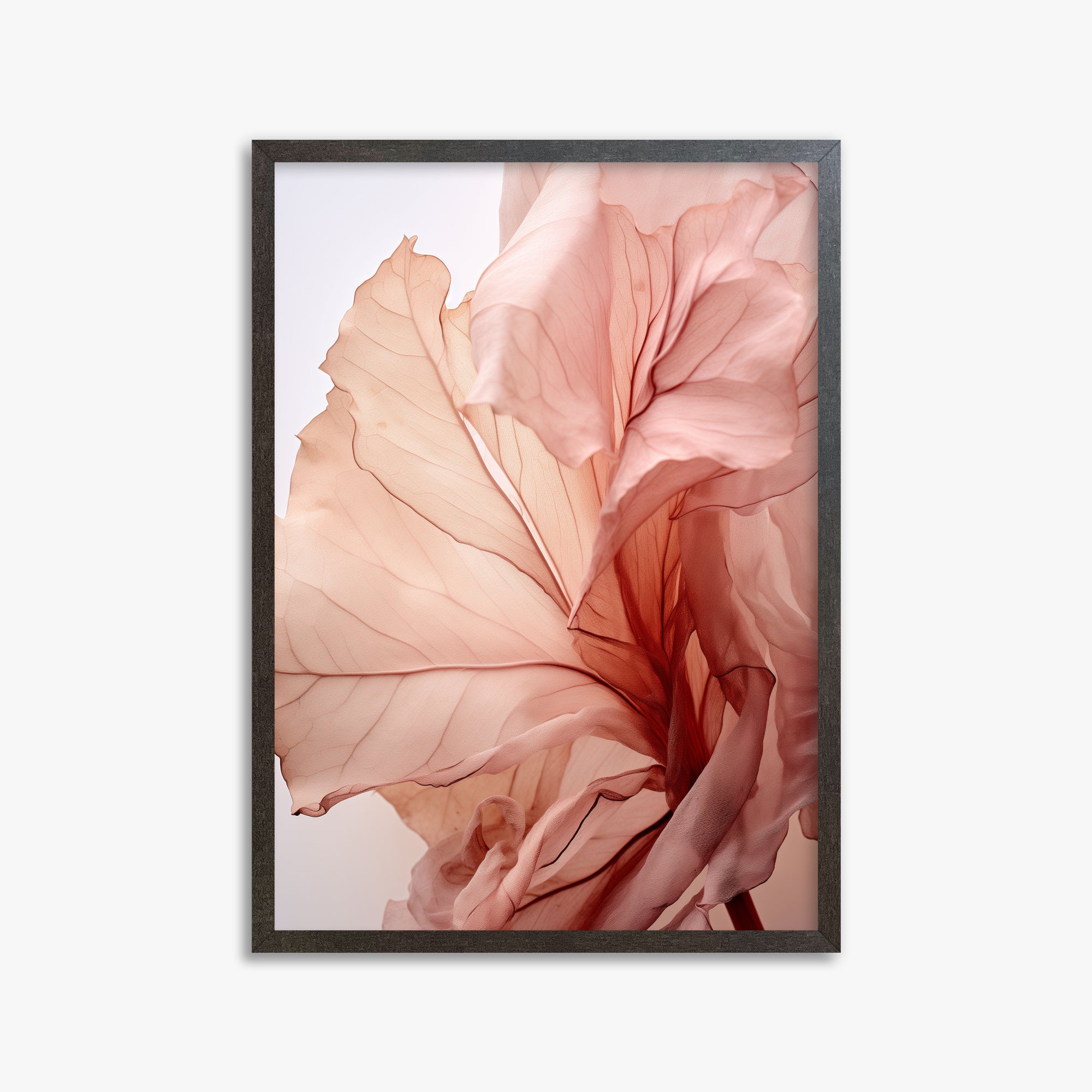 Blush Petal Symphony, 50x70cm Framed Art Reproduction With Espresso Frame