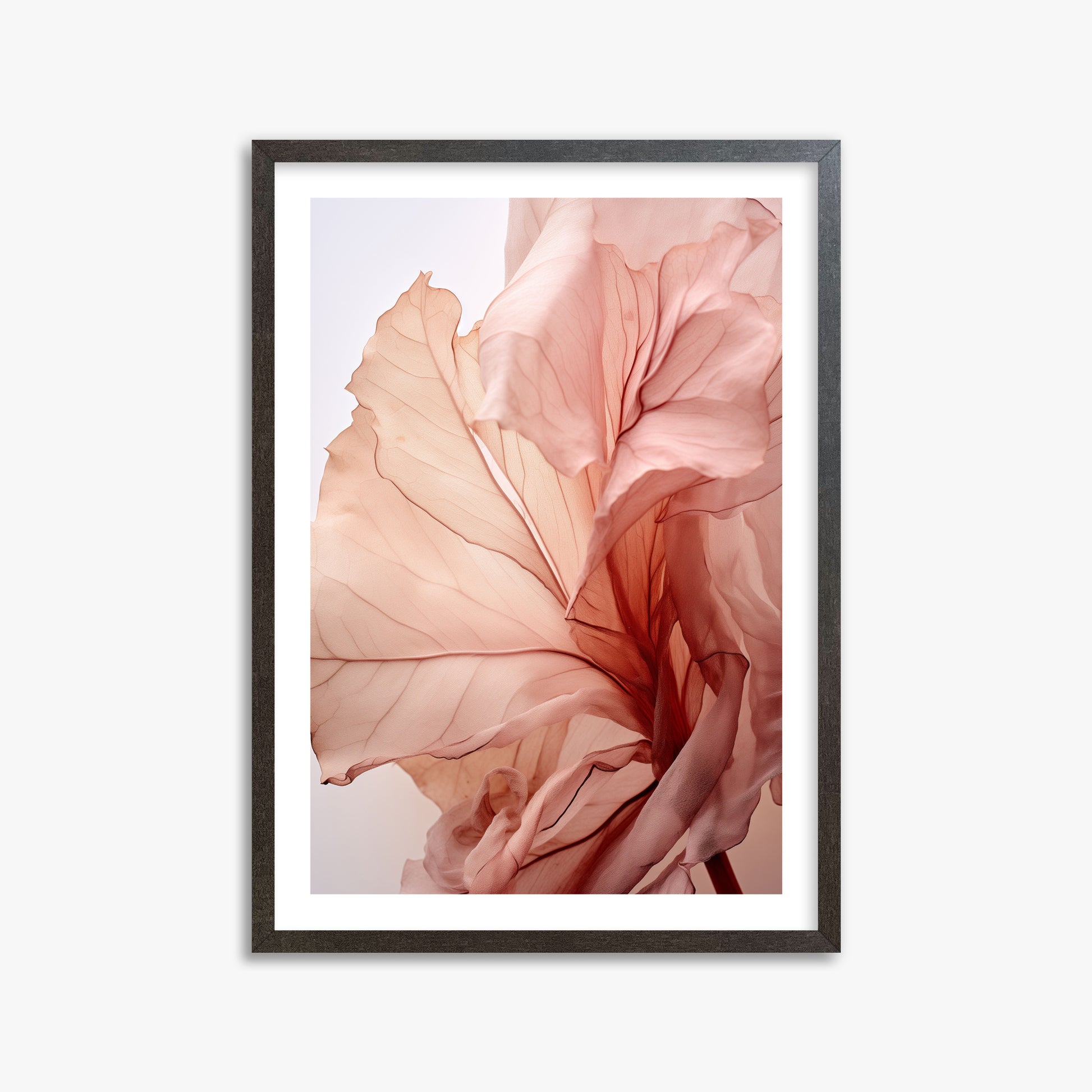 Blush Petal Symphony, 50x70cm Framed Art Reproduction With Espresso Frame