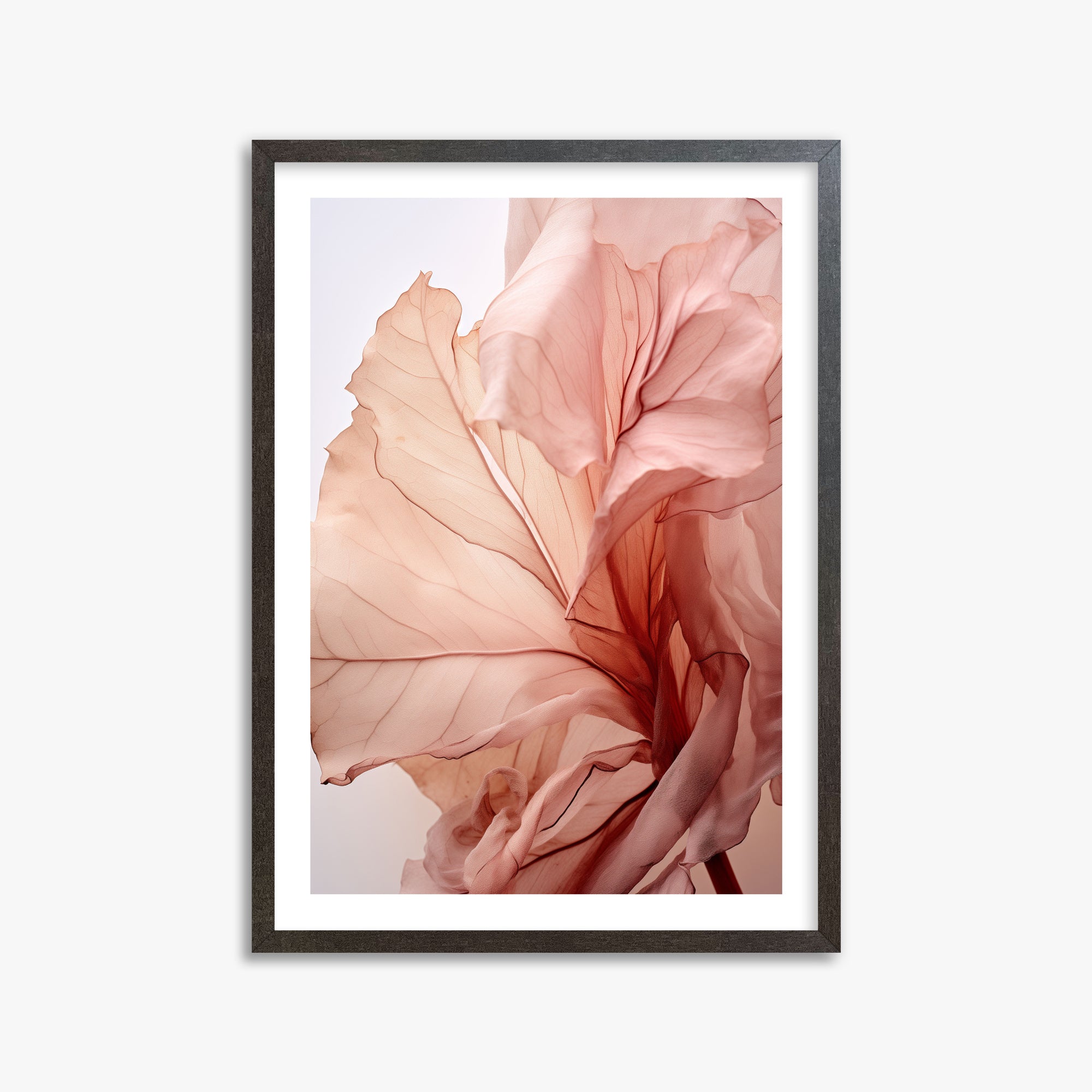 Blush Petal Symphony, 50x70cm Framed Art Reproduction With Espresso Frame
