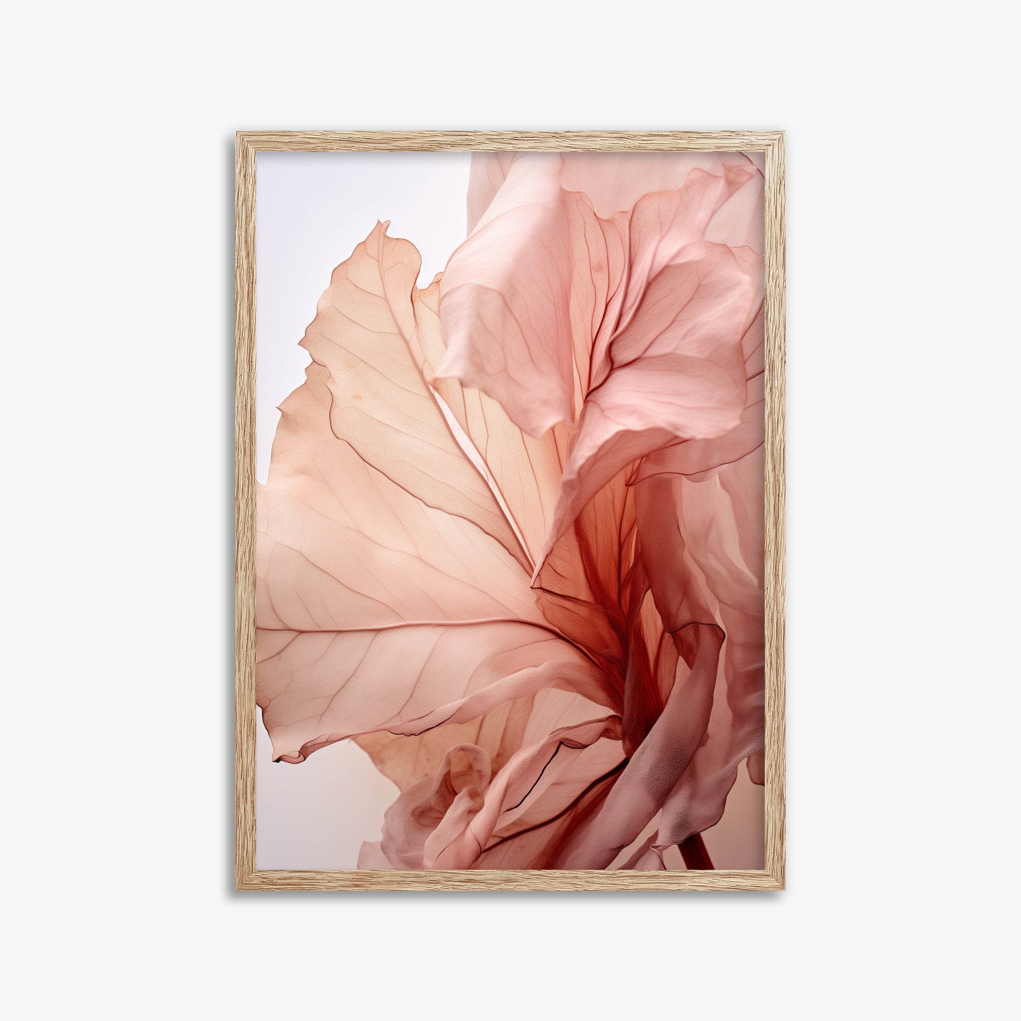 Blush Petal Symphony, 50x70cm Framed Art Reproduction With Raw Oak Frame