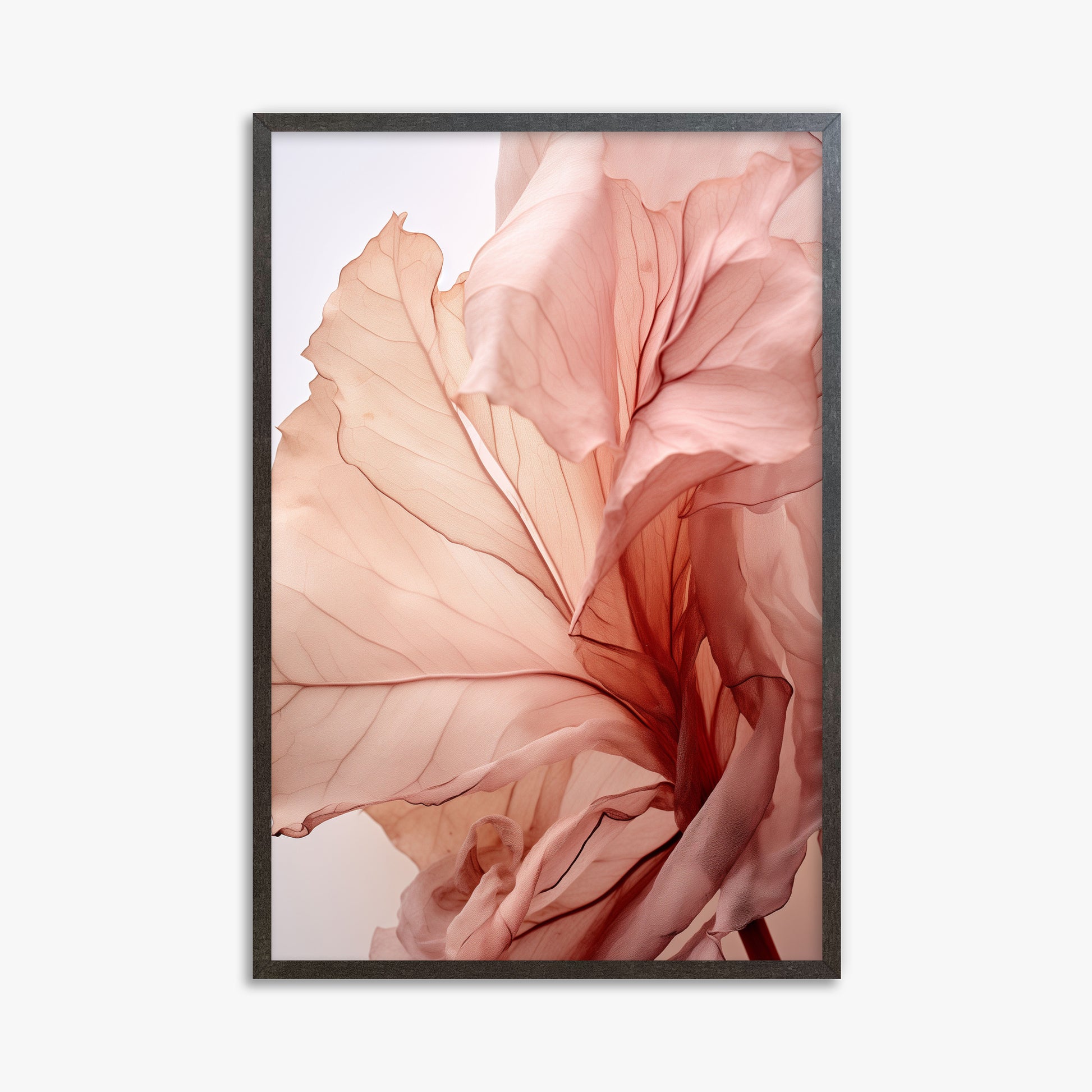 Blush Petal Symphony, 61x91cm Framed Art Reproduction With Espresso Frame