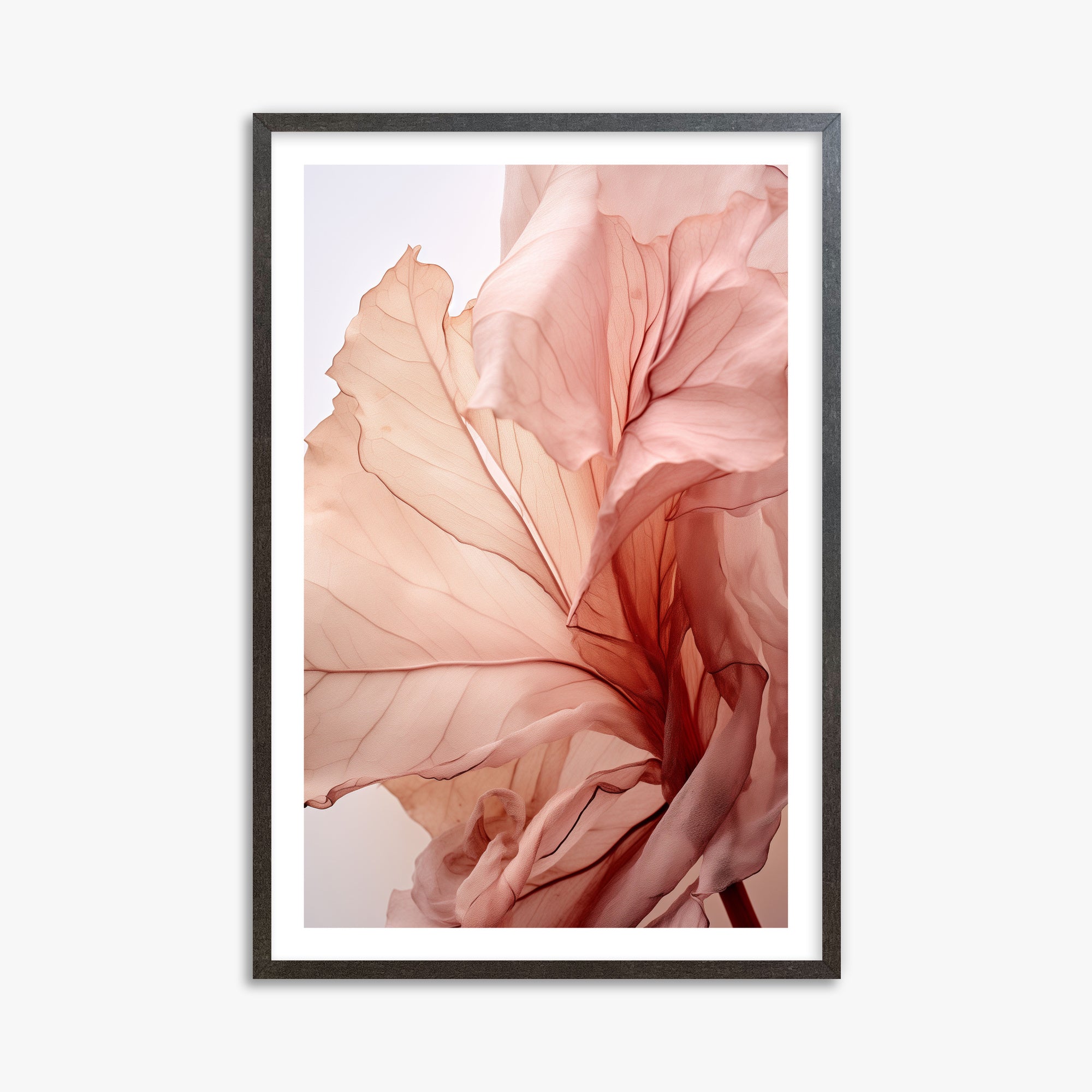 Blush Petal Symphony, 61x91cm Framed Art Reproduction With Espresso Frame