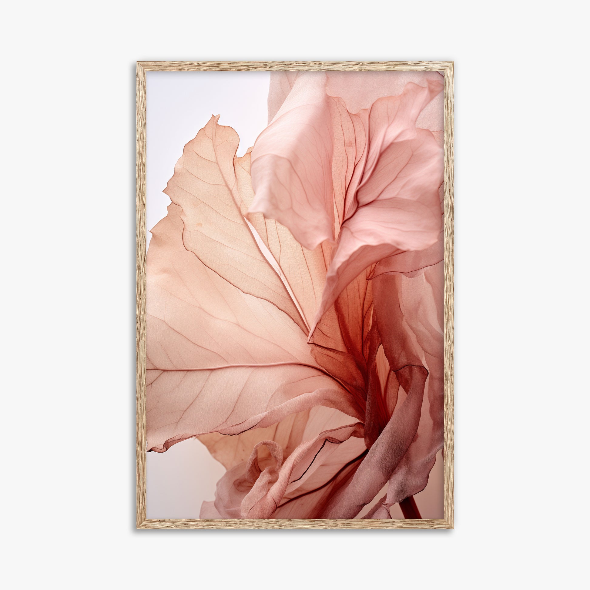 Blush Petal Symphony, 61x91cm Framed Art Reproduction With Raw Oak Frame