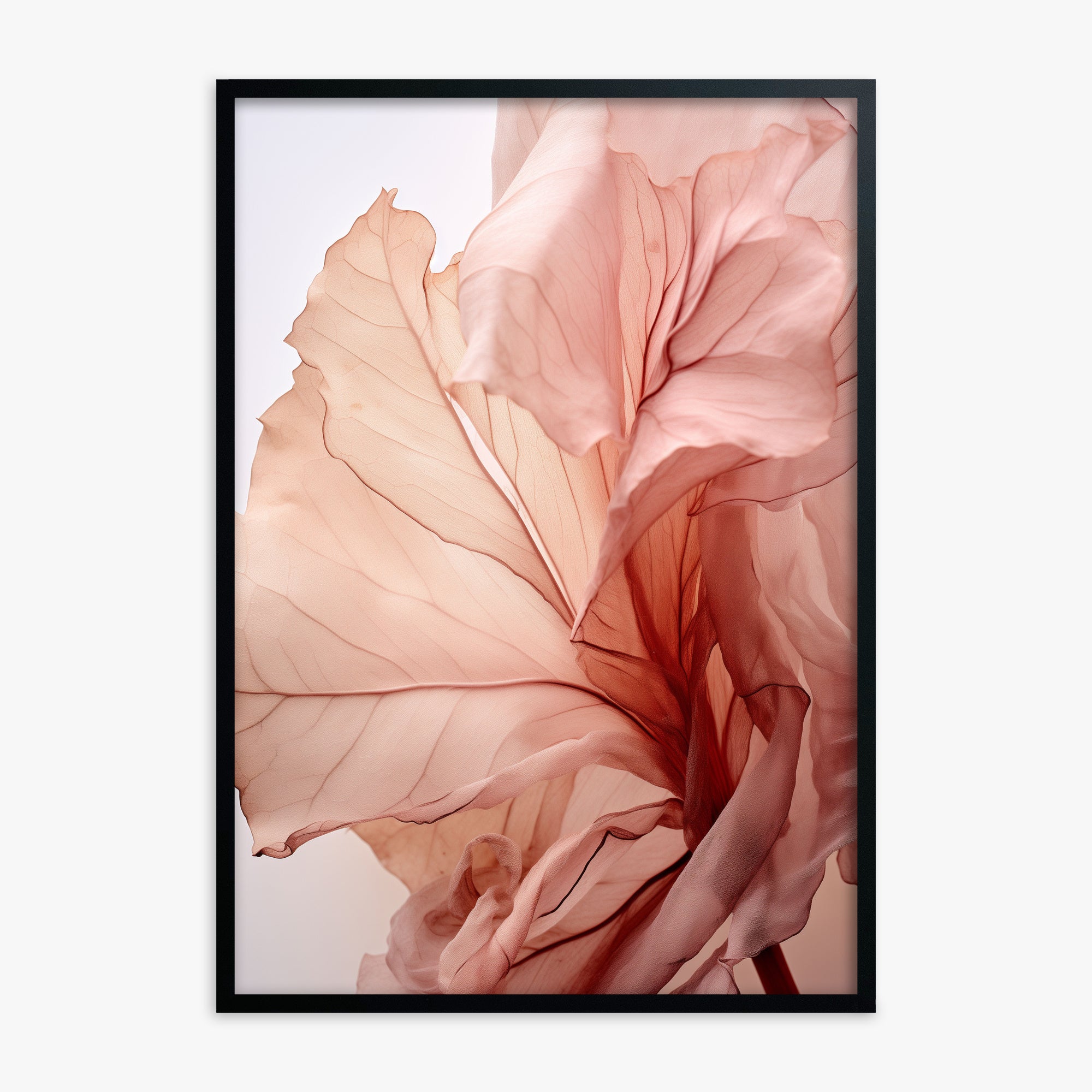 Blush Petal Symphony, Black Framed Poster With Black Frame