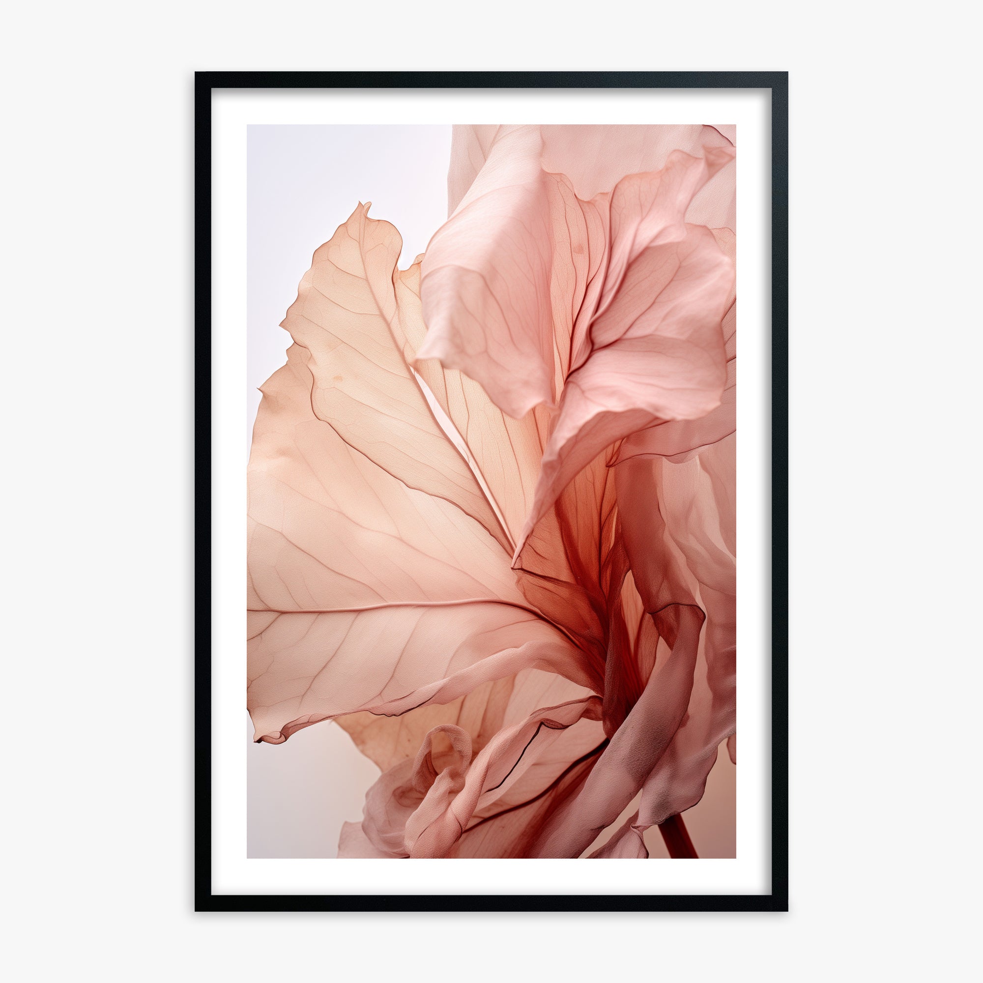 Blush Petal Symphony, Black Framed Poster With Black Frame