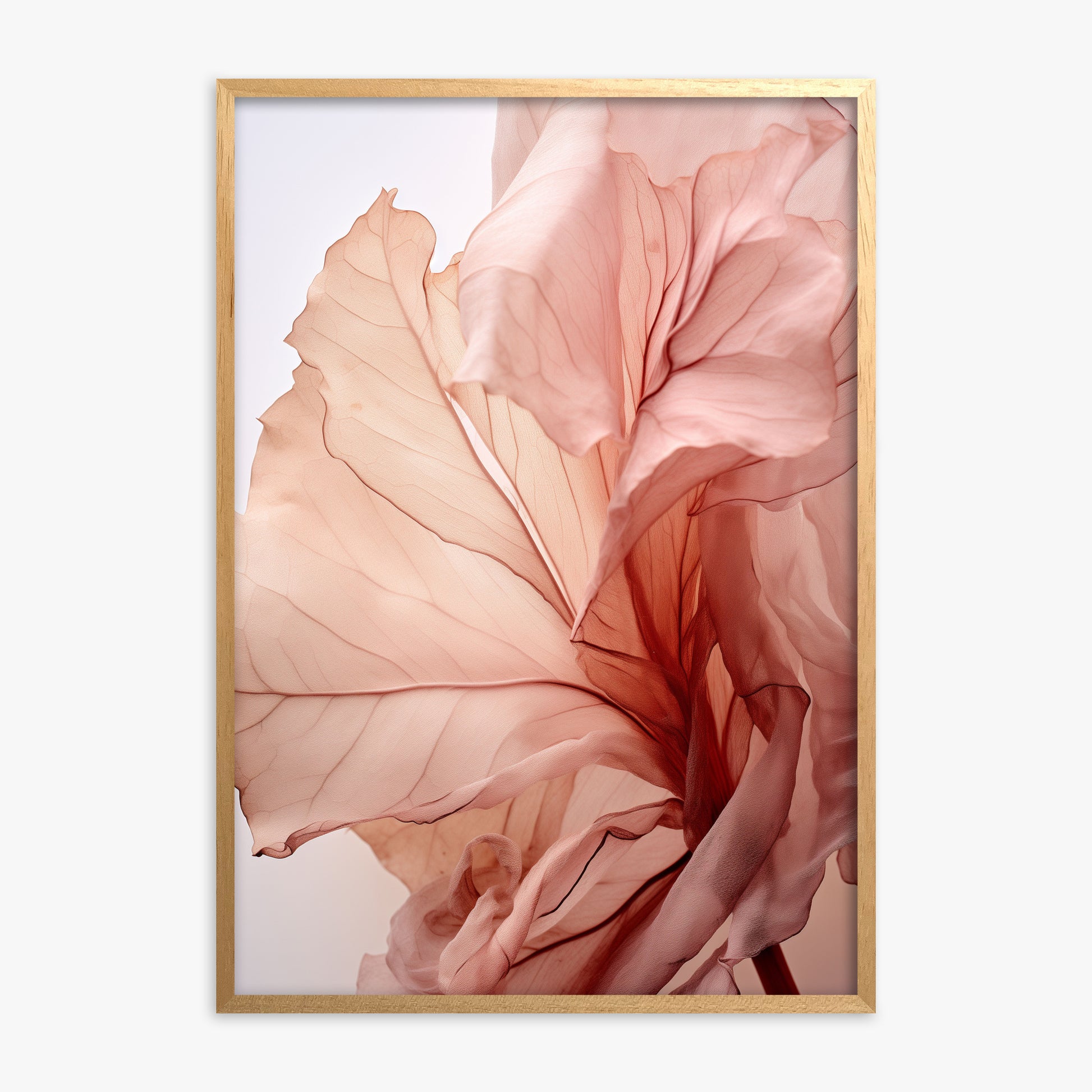 Blush Petal Symphony, Oak Framed Poster With Oak Frame