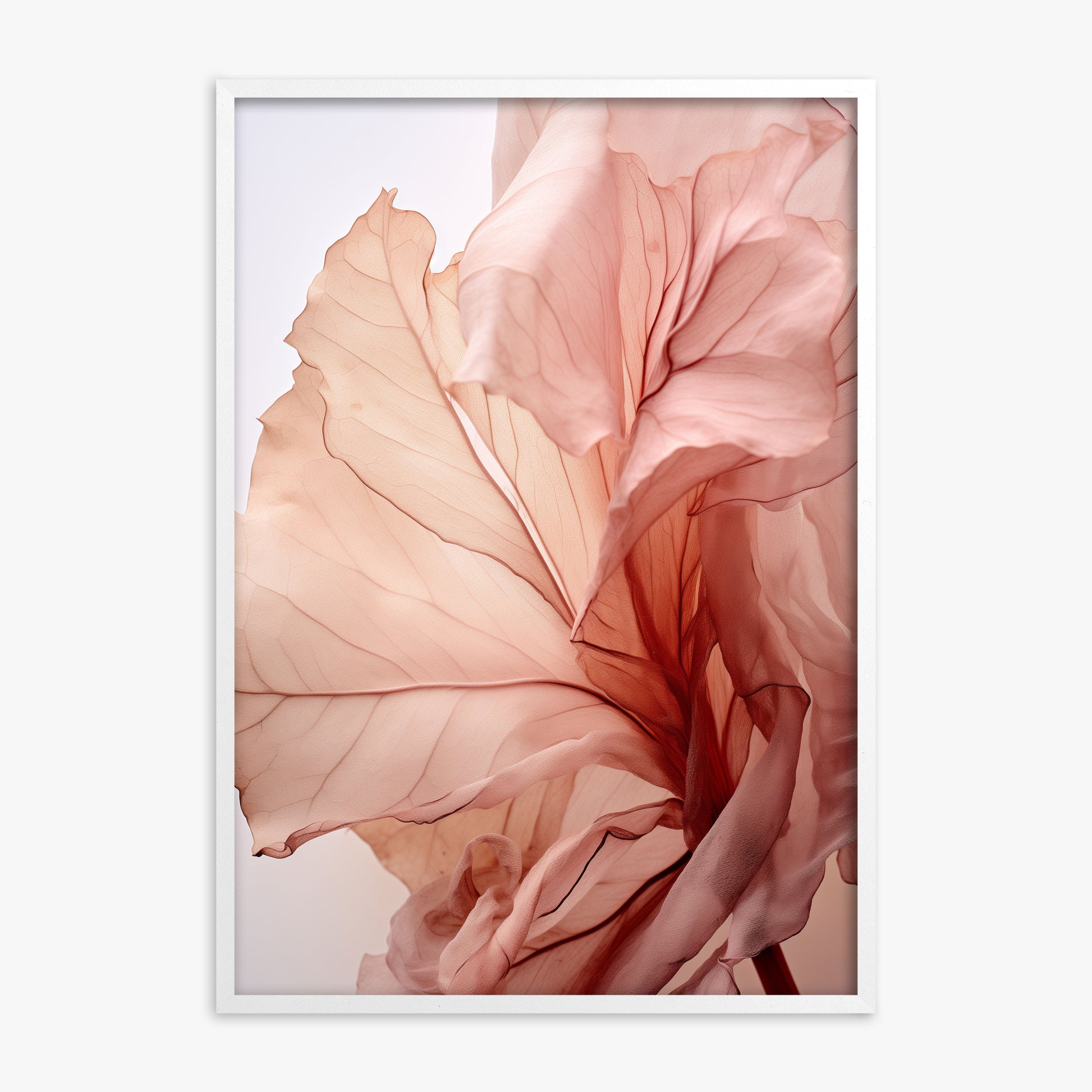 Blush Petal Symphony, White Framed Poster With White Frame