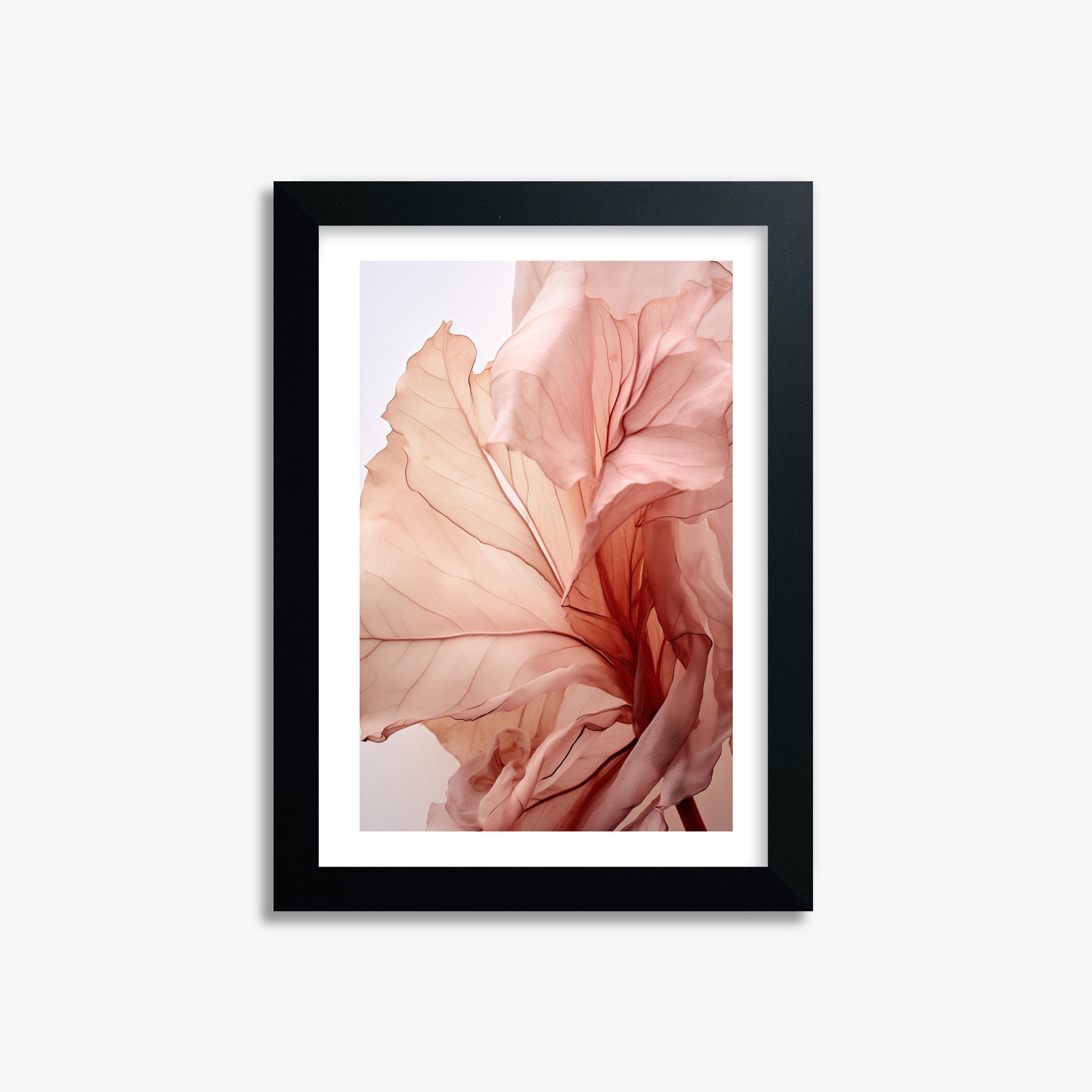 Blush Petal Symphony, 21x30cm Black Framed Art Reproduction