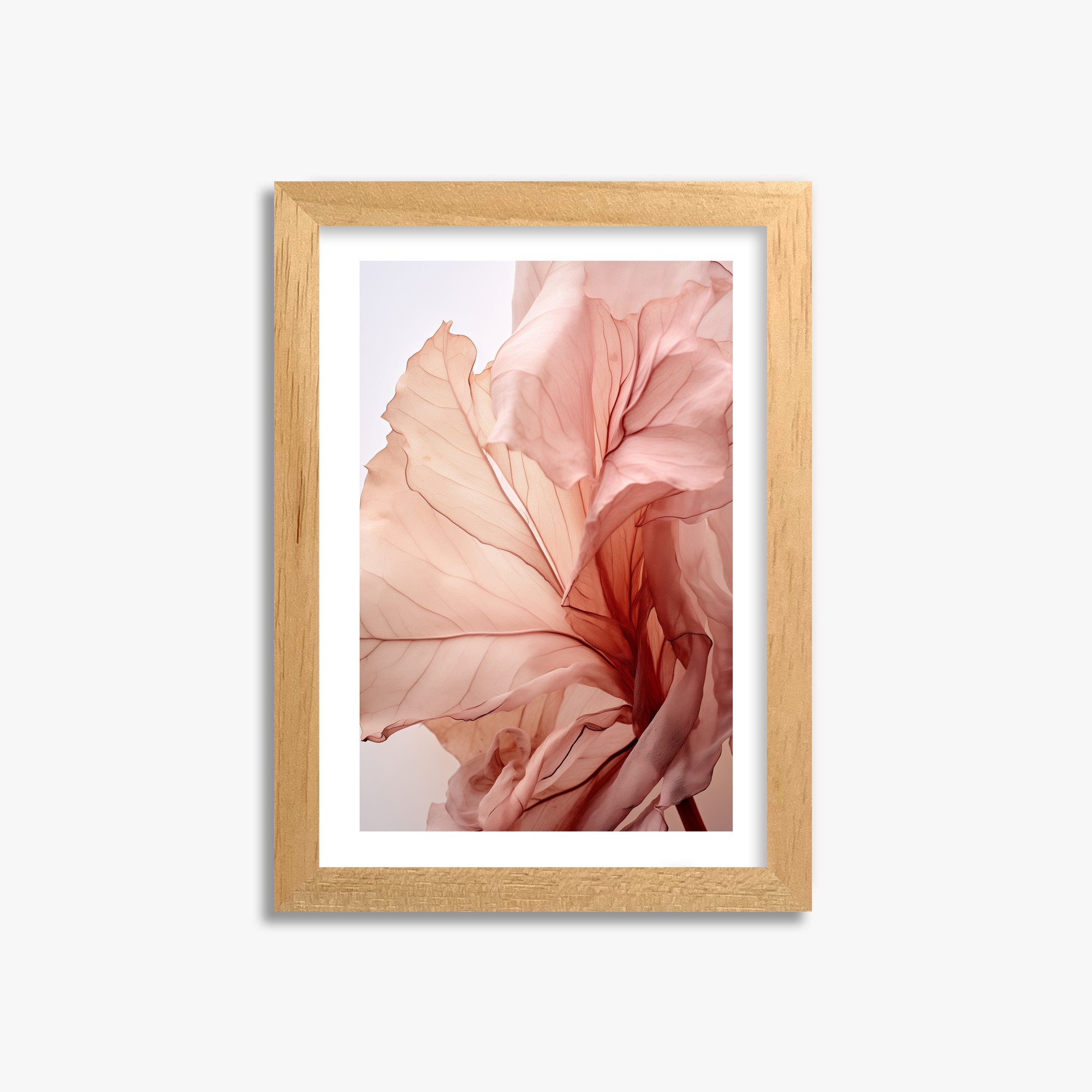 Blush Petal Symphony, 21x30cm Oak Framed Art Reproduction