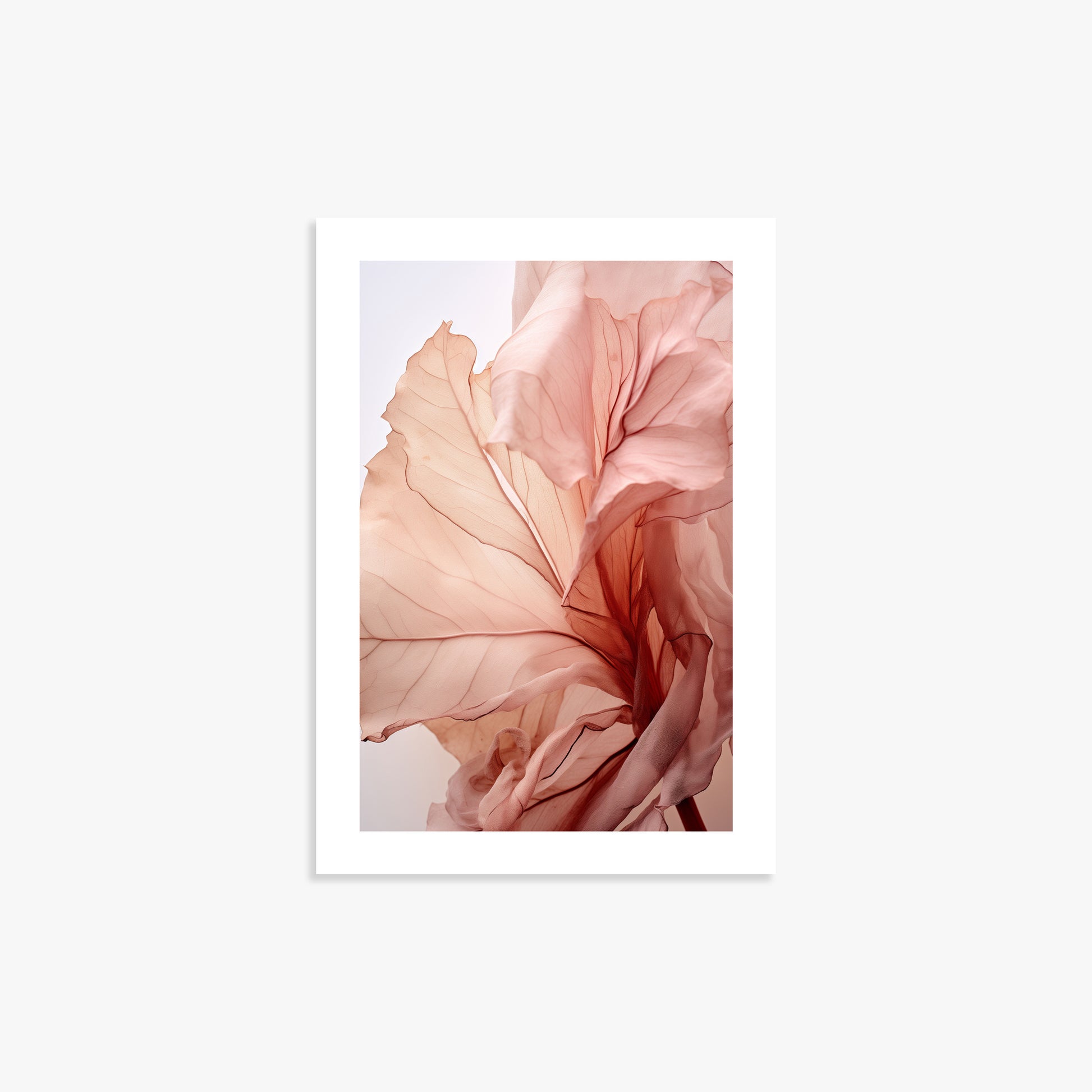 Blush Petal Symphony, 21x30cm Printed Poster