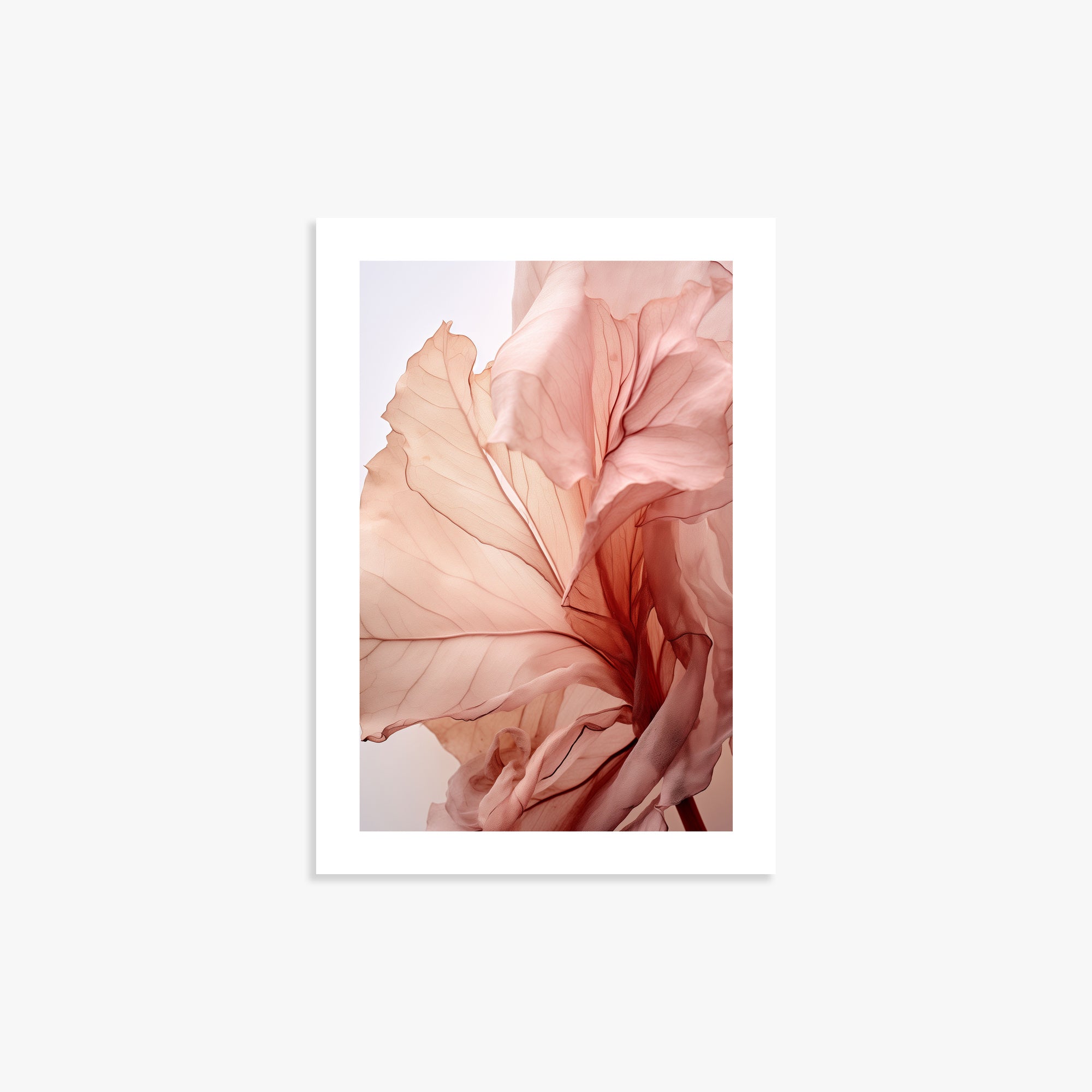 Blush Petal Symphony, 21x30cm Printed Poster