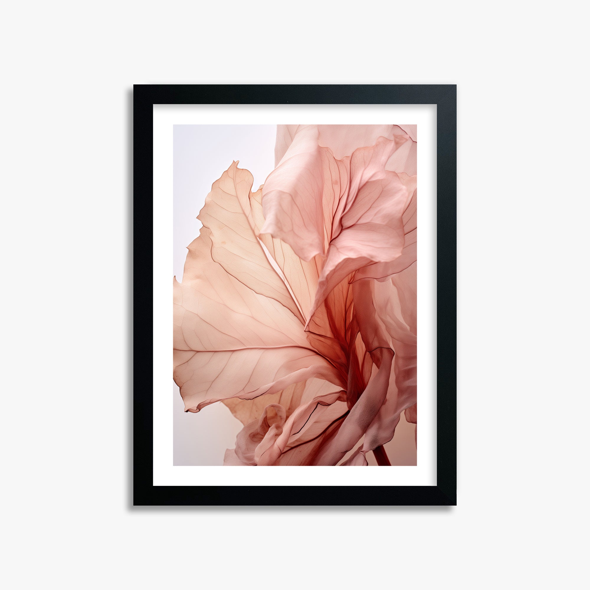 Blush Petal Symphony, 30x40cm Black Framed Art Reproduction