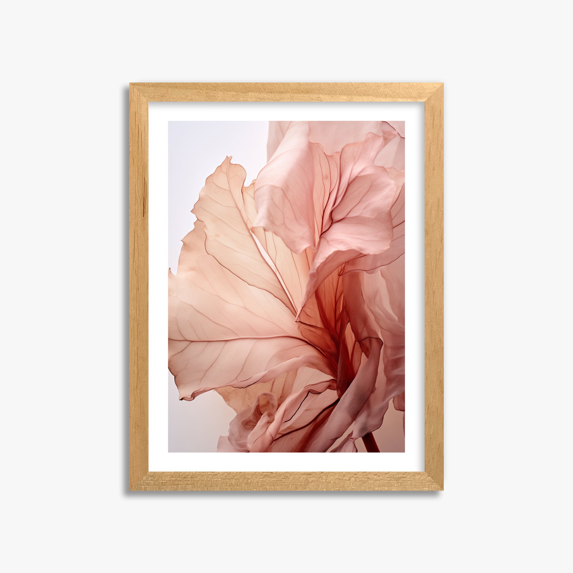 Blush Petal Symphony, 30x40cm Oak Framed Art Reproduction