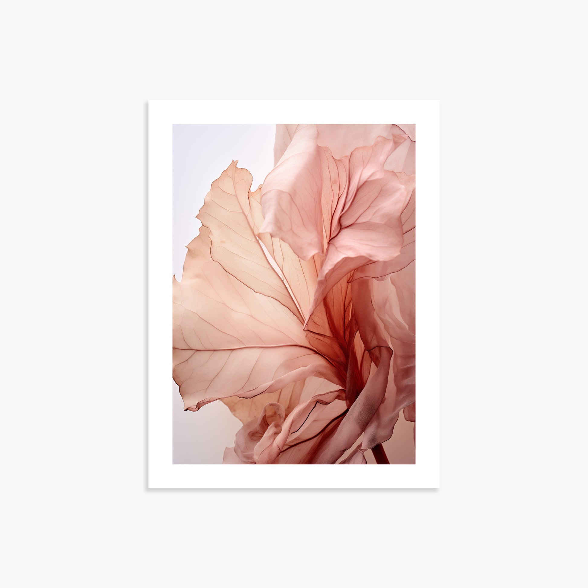 Blush Petal Symphony, 30x40cm Printed Poster