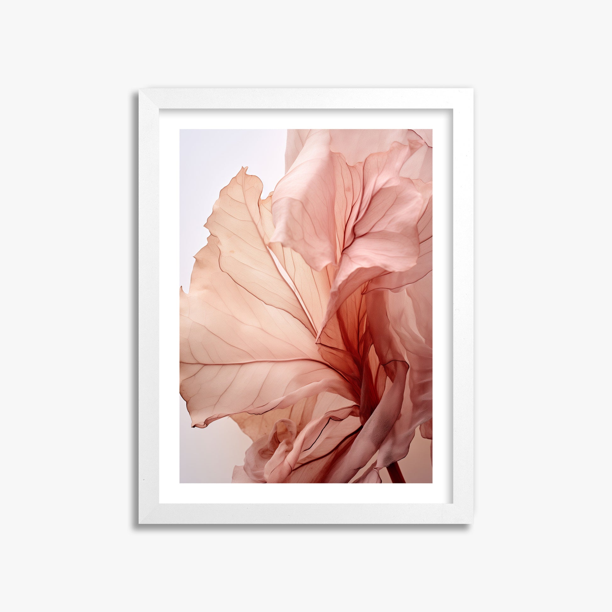 Blush Petal Symphony, 30x40cm Whitek Framed Art Reproduction