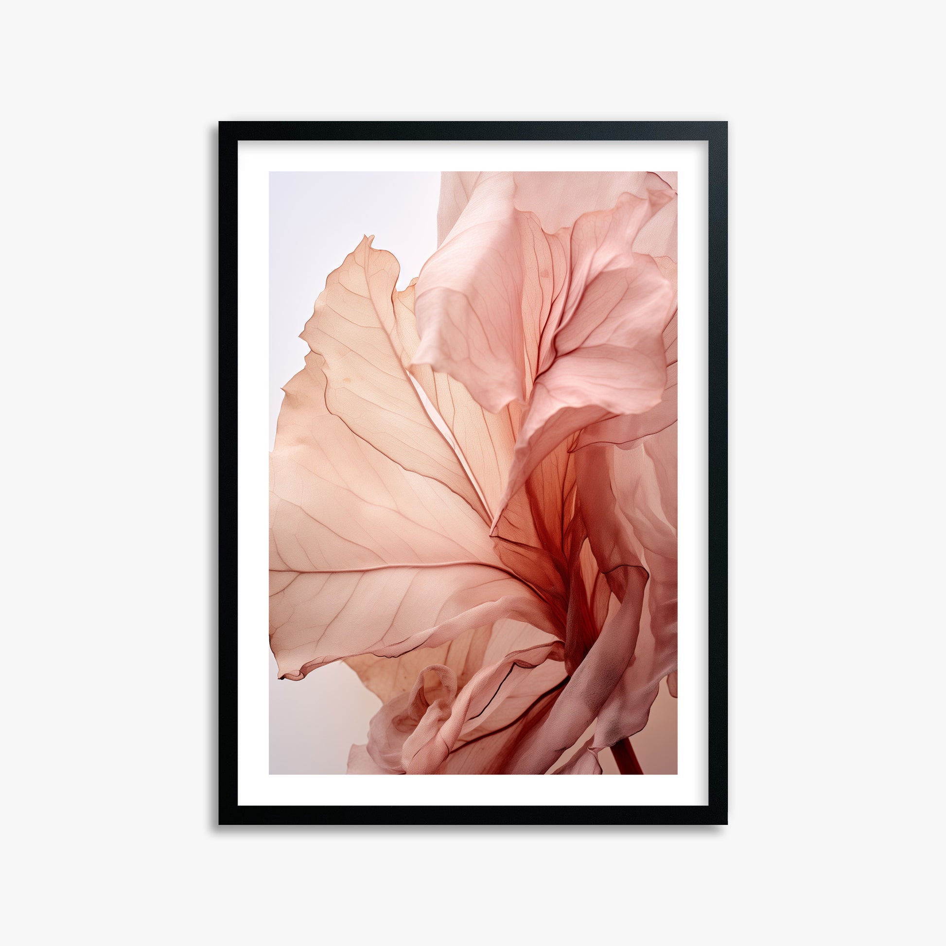 Blush Petal Symphony, 50x70cm Black Framed Art Reproduction