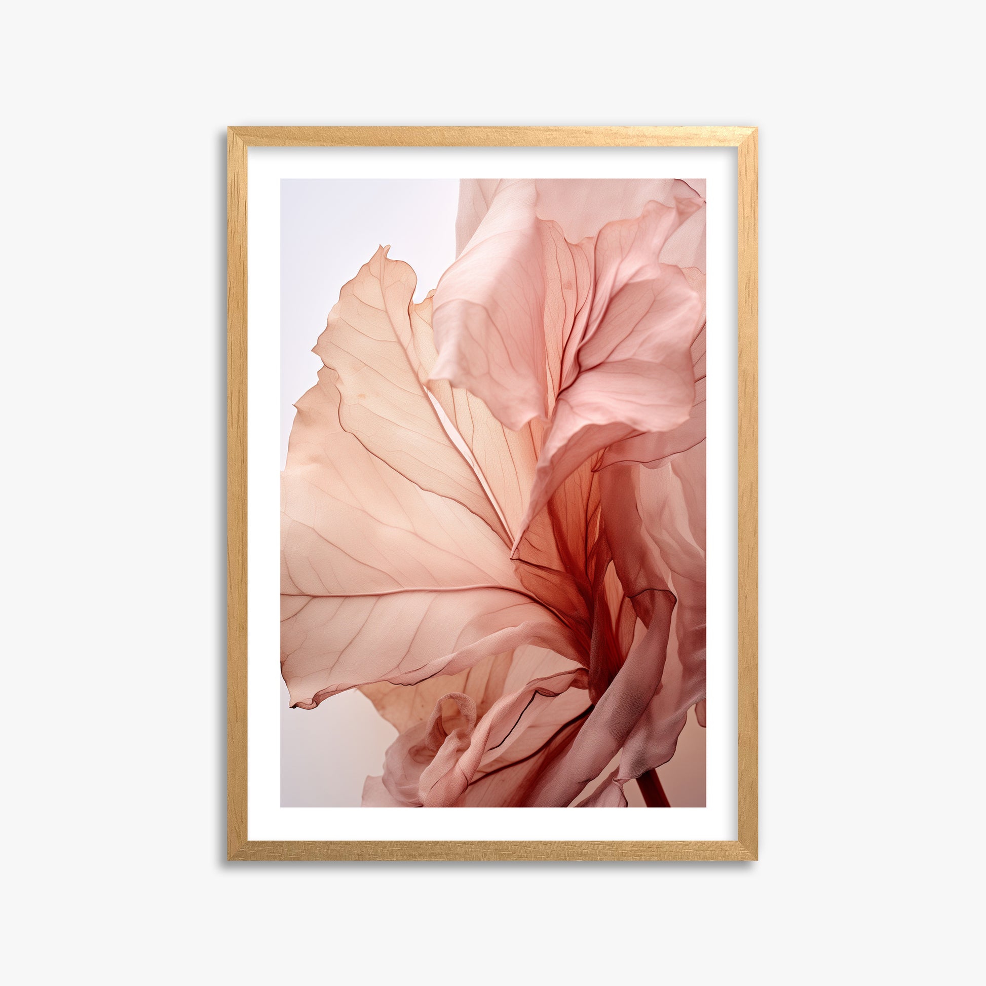 Blush Petal Symphony, 50x70cm Oak Framed Art Reproduction