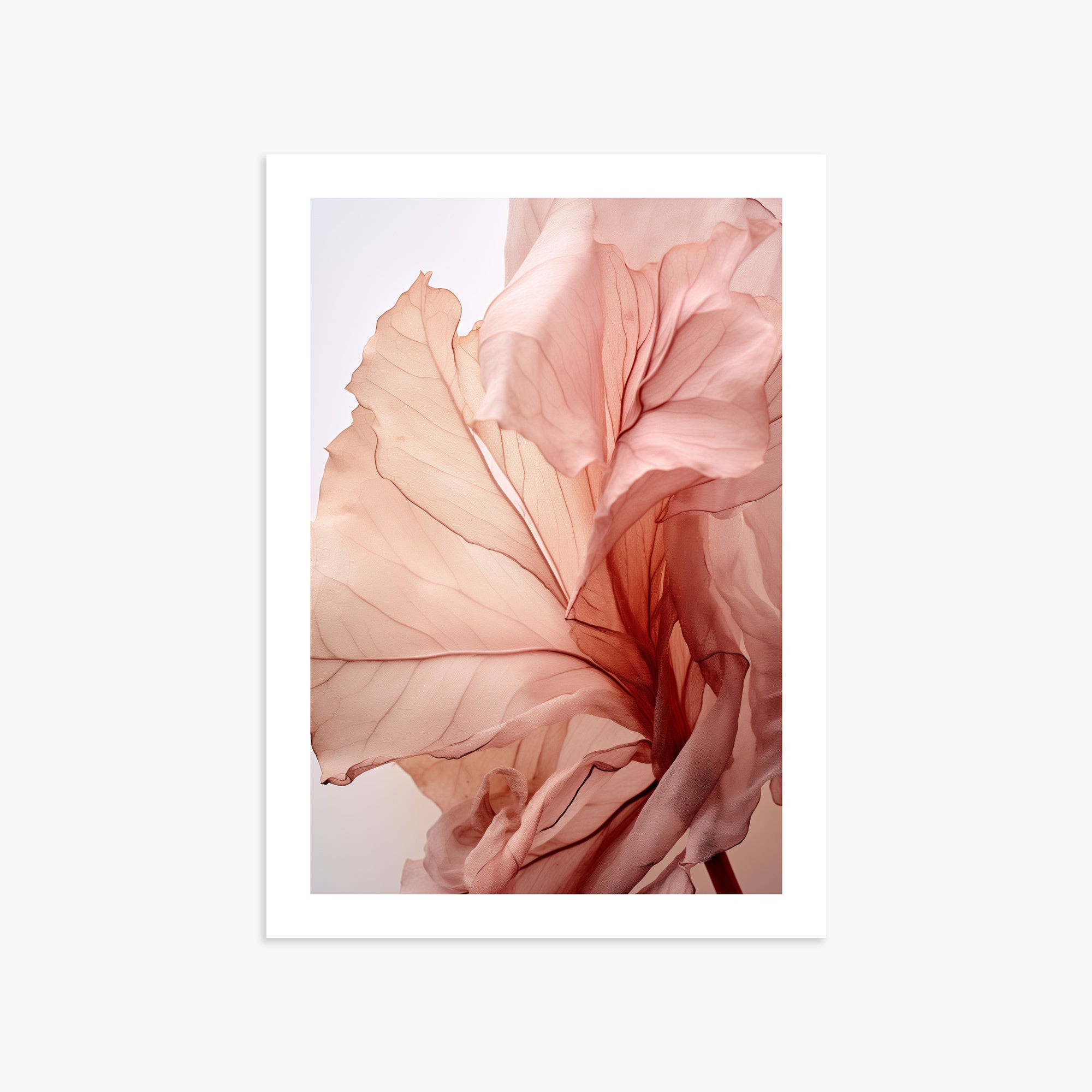 Blush Petal Symphony, 50x70cm Printed Poster