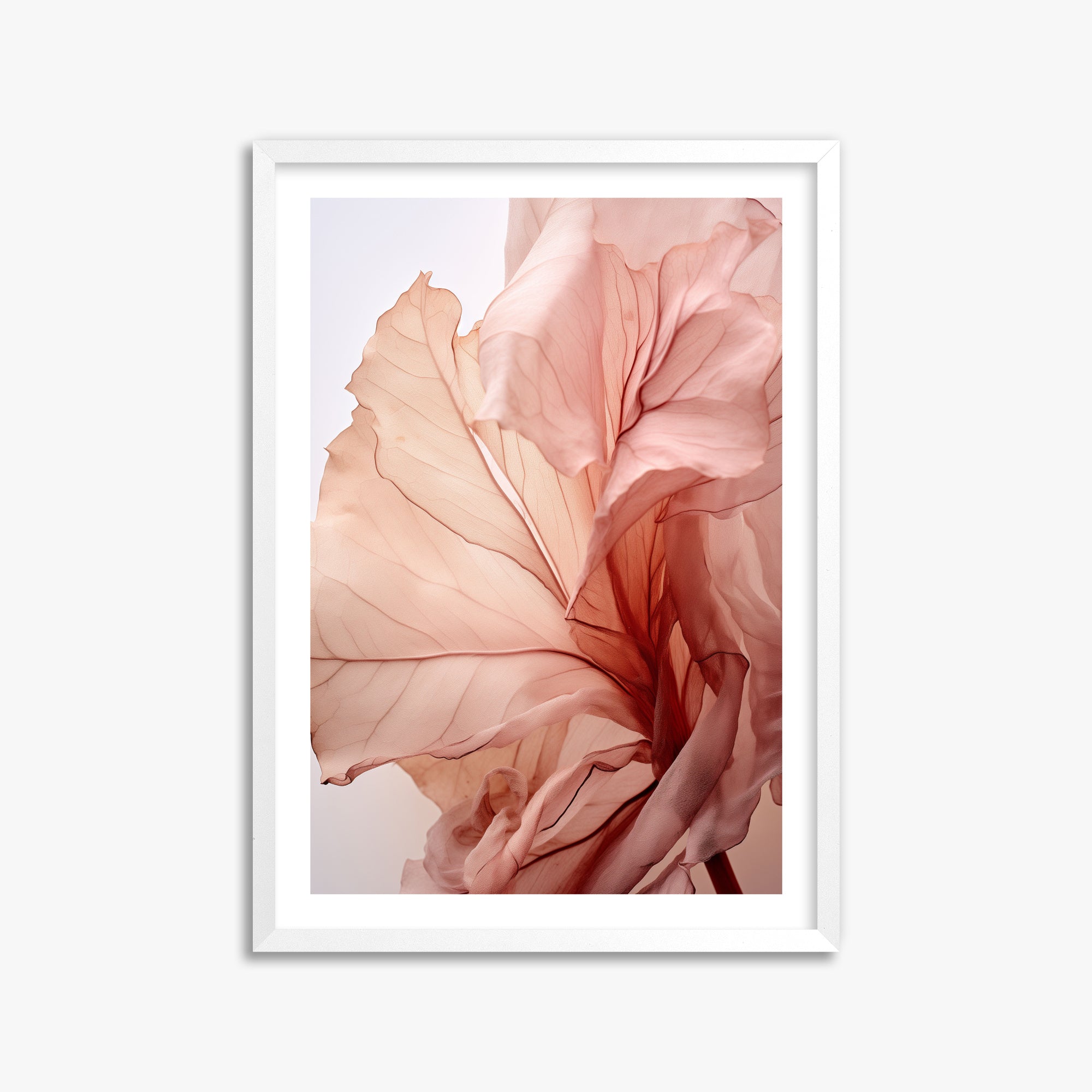 Blush Petal Symphony, 50x70cm Whitek Framed Art Reproduction