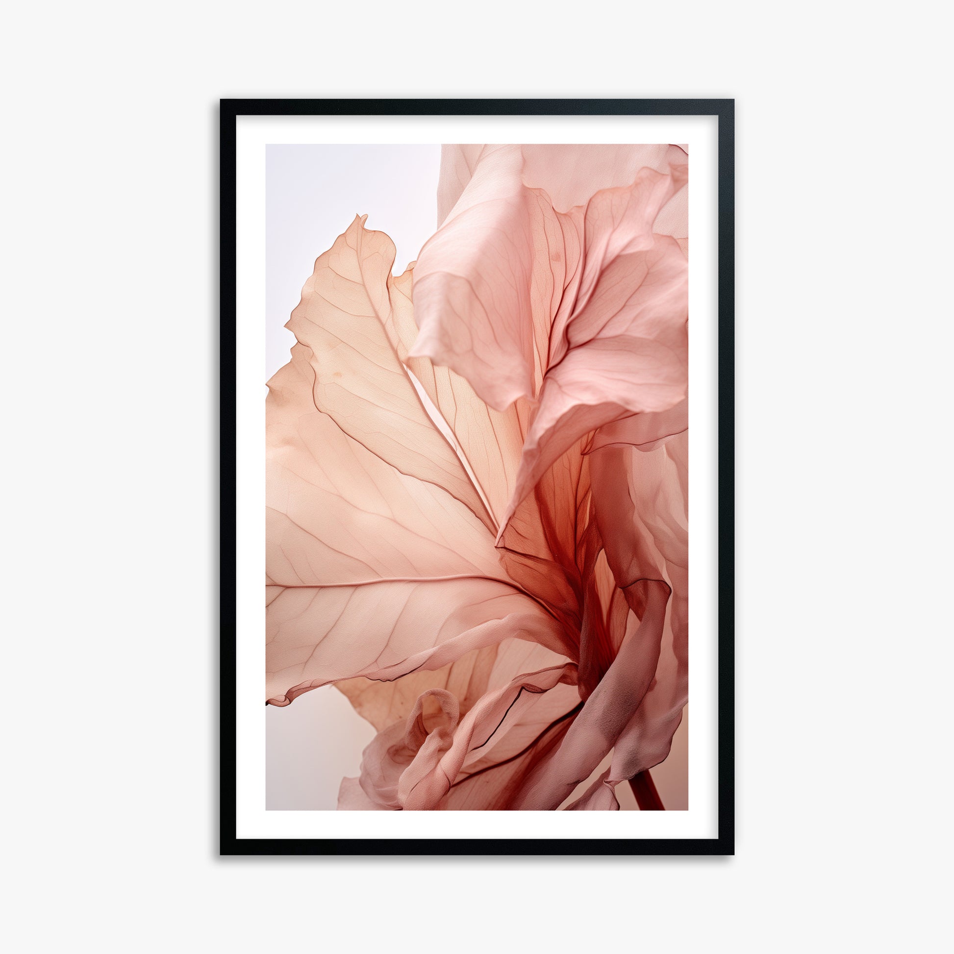 Blush Petal Symphony, 61x91cm Black Framed Art Reproduction