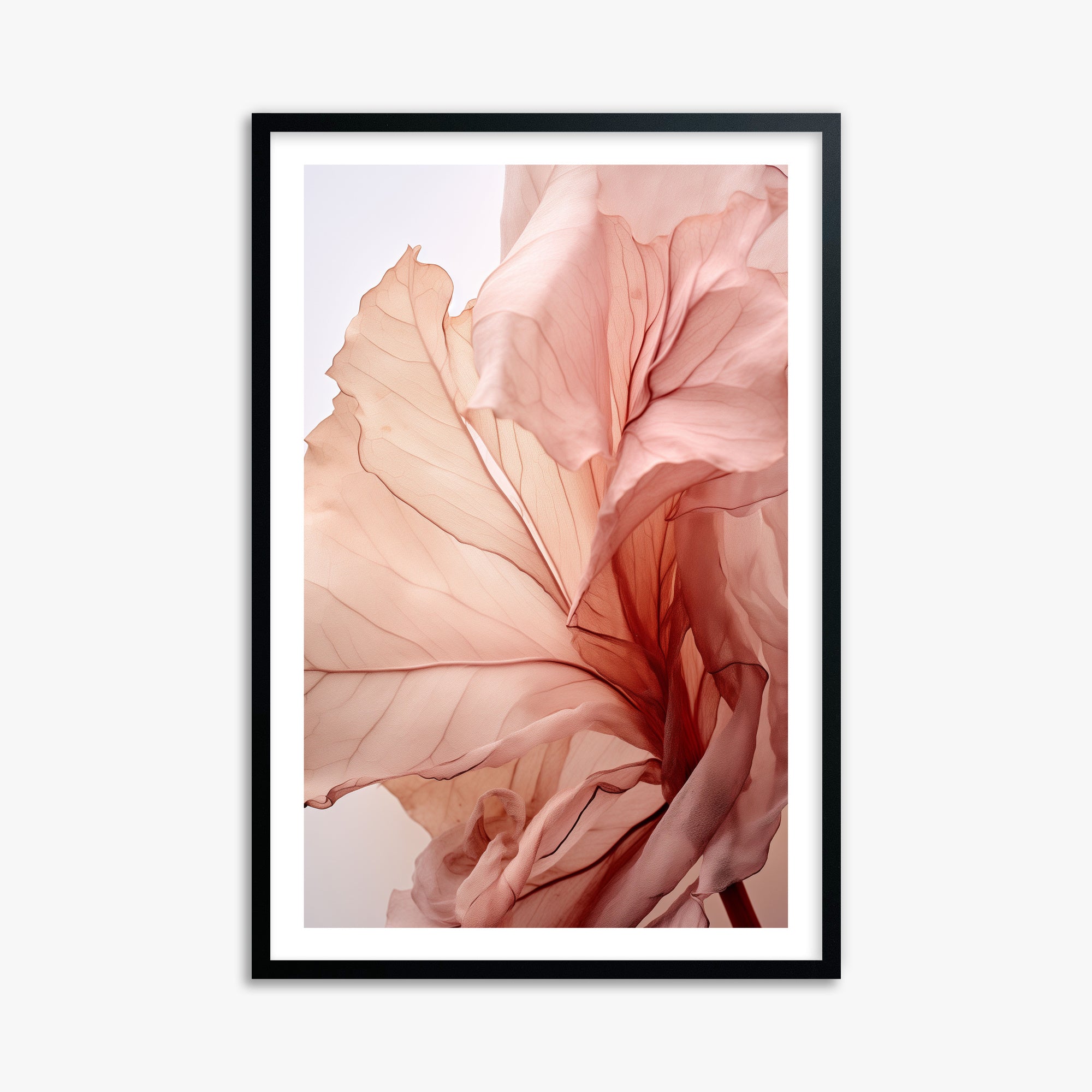 Blush Petal Symphony, 61x91cm Black Framed Art Reproduction