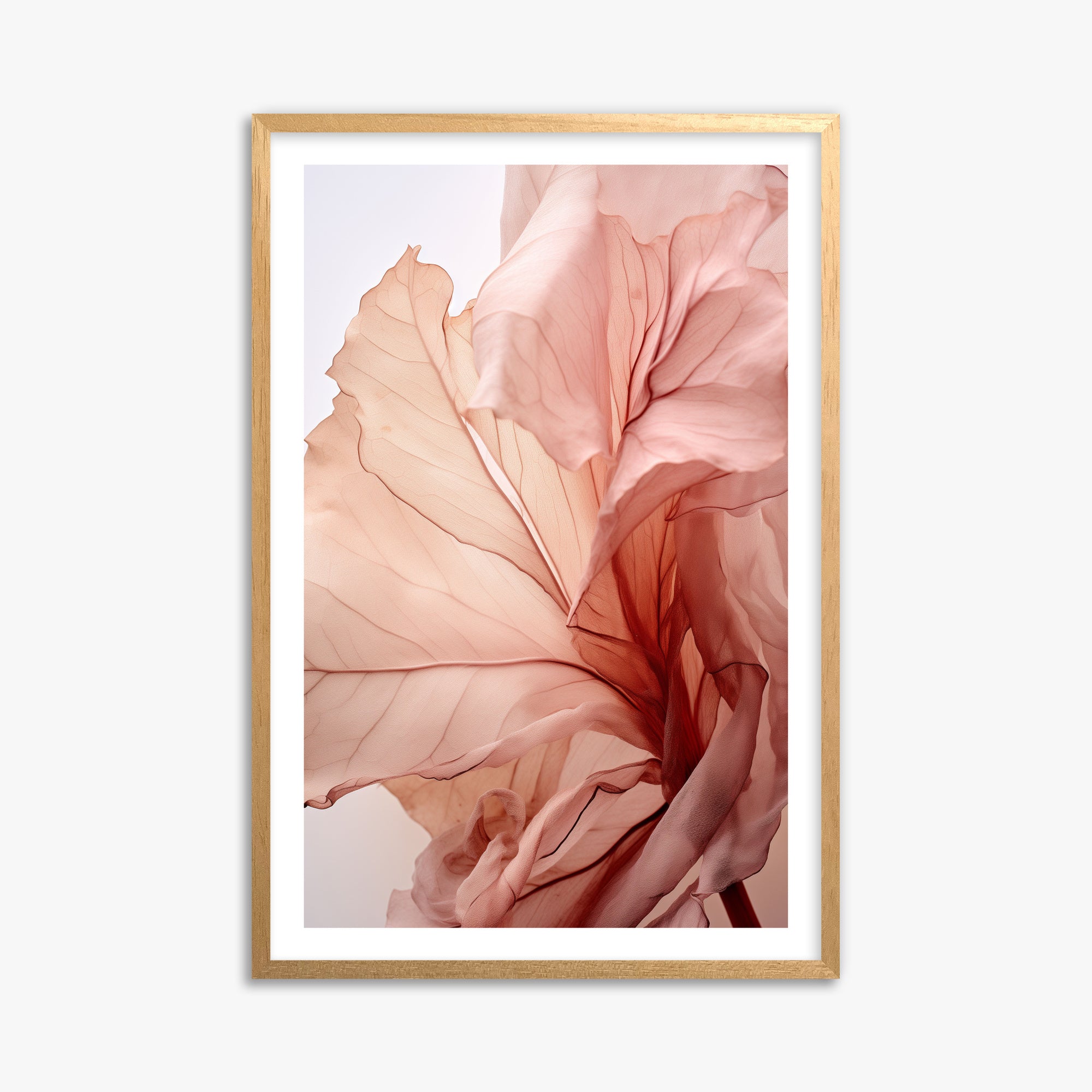 Blush Petal Symphony, 61x91cm Oak Framed Art Reproduction