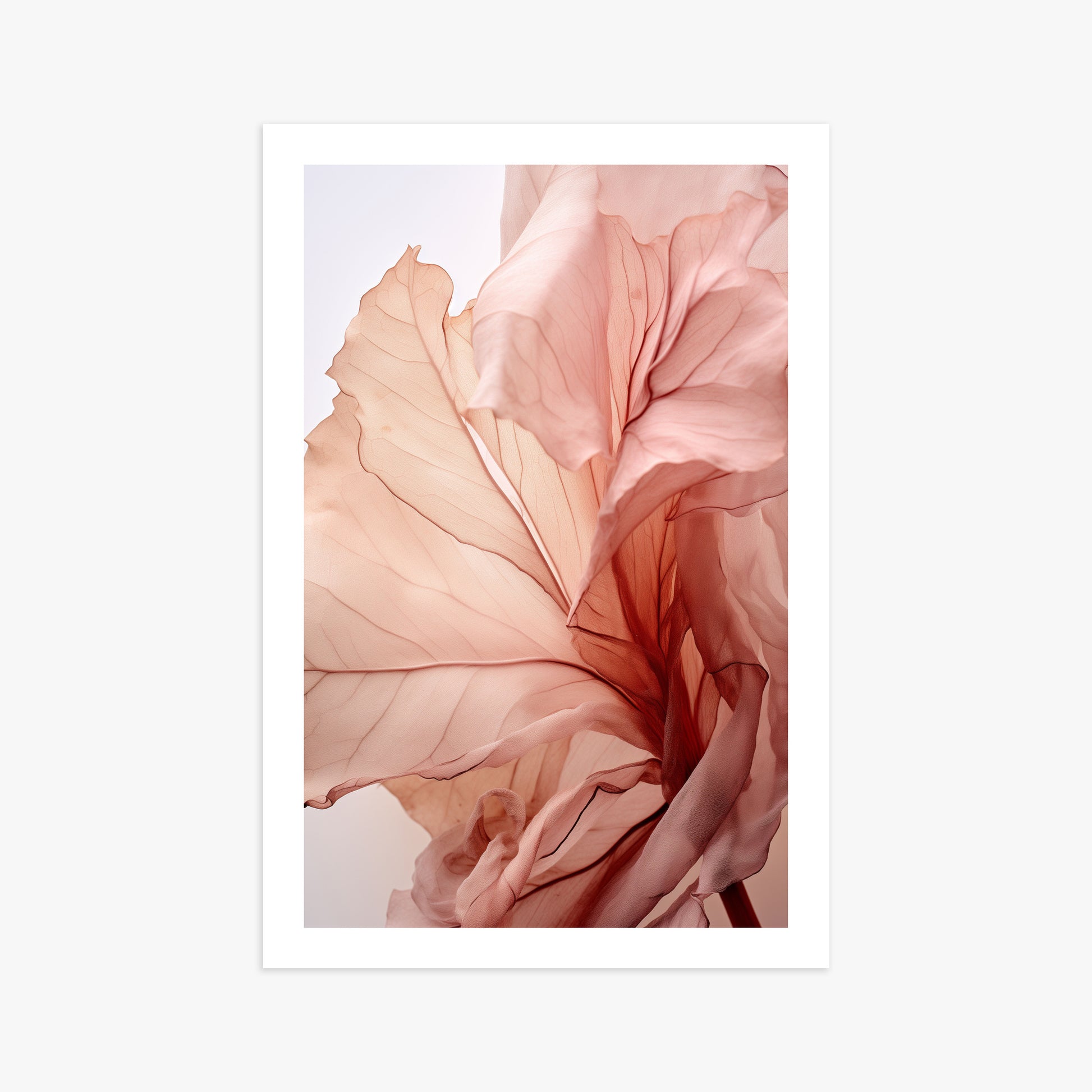 Blush Petal Symphony, 61x91cm Printed Poster