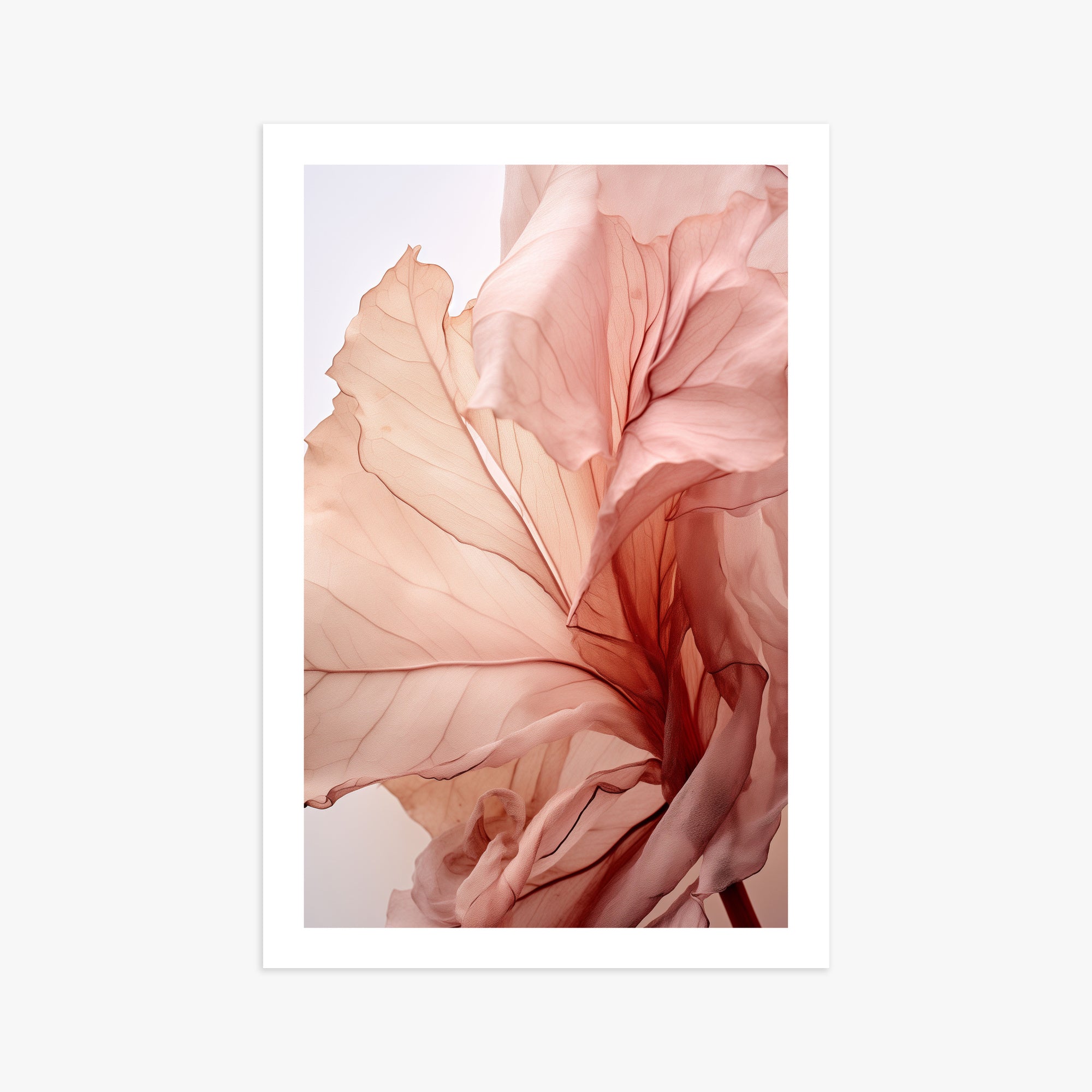 Blush Petal Symphony, 61x91cm Printed Poster