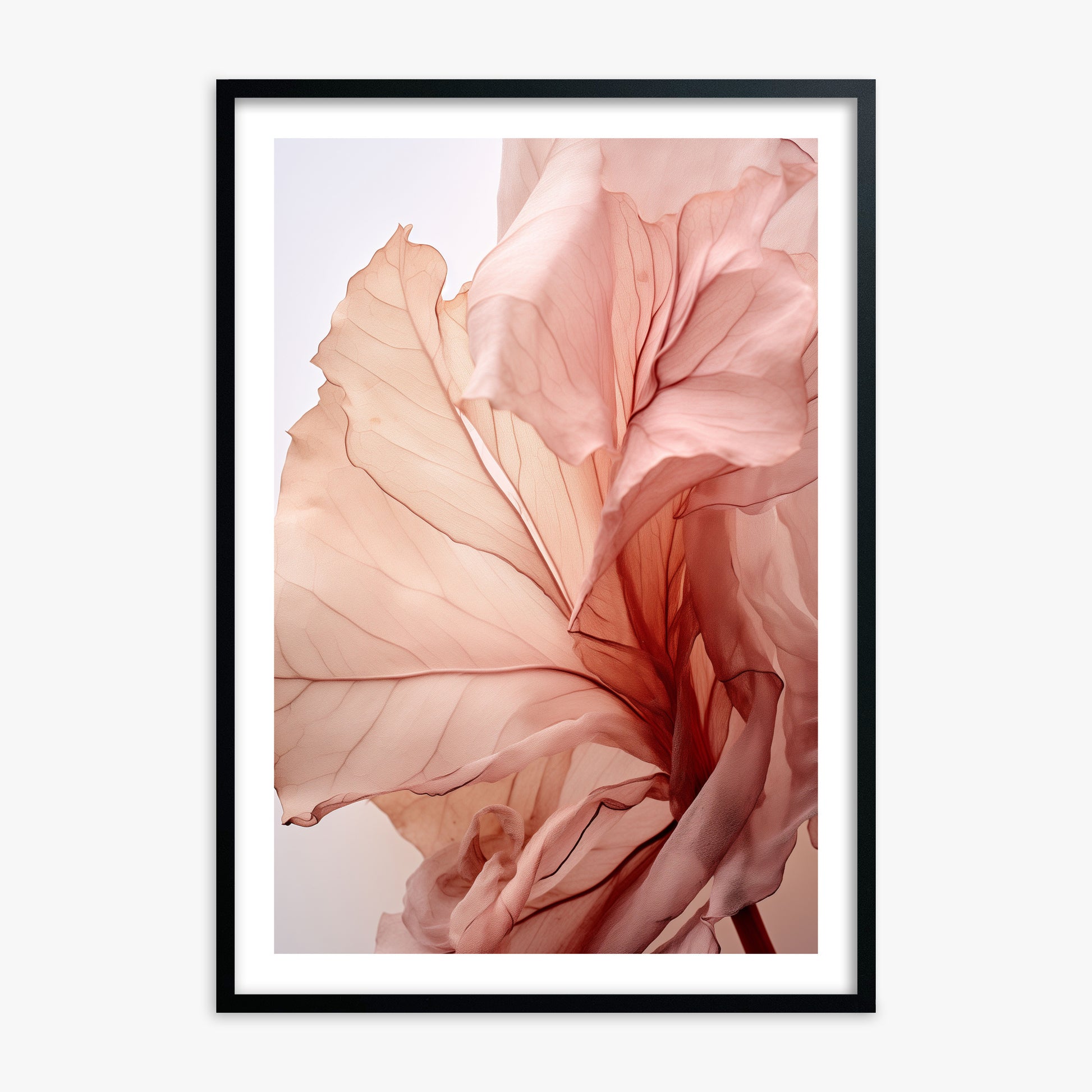 Blush Petal Symphony, 70x100cm Black Framed Art Reproduction