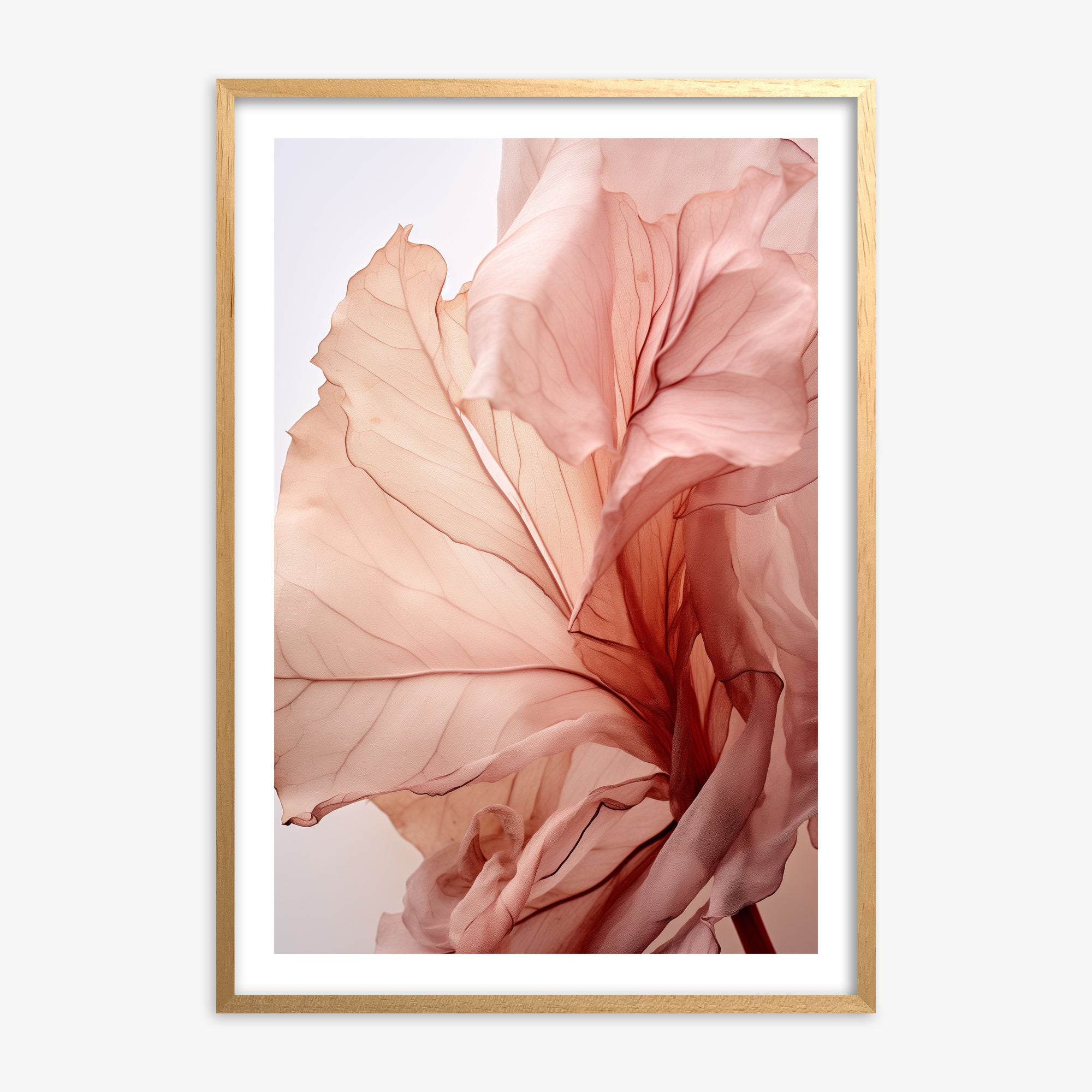 Blush Petal Symphony, 70x100cm Oak Framed Art Reproduction