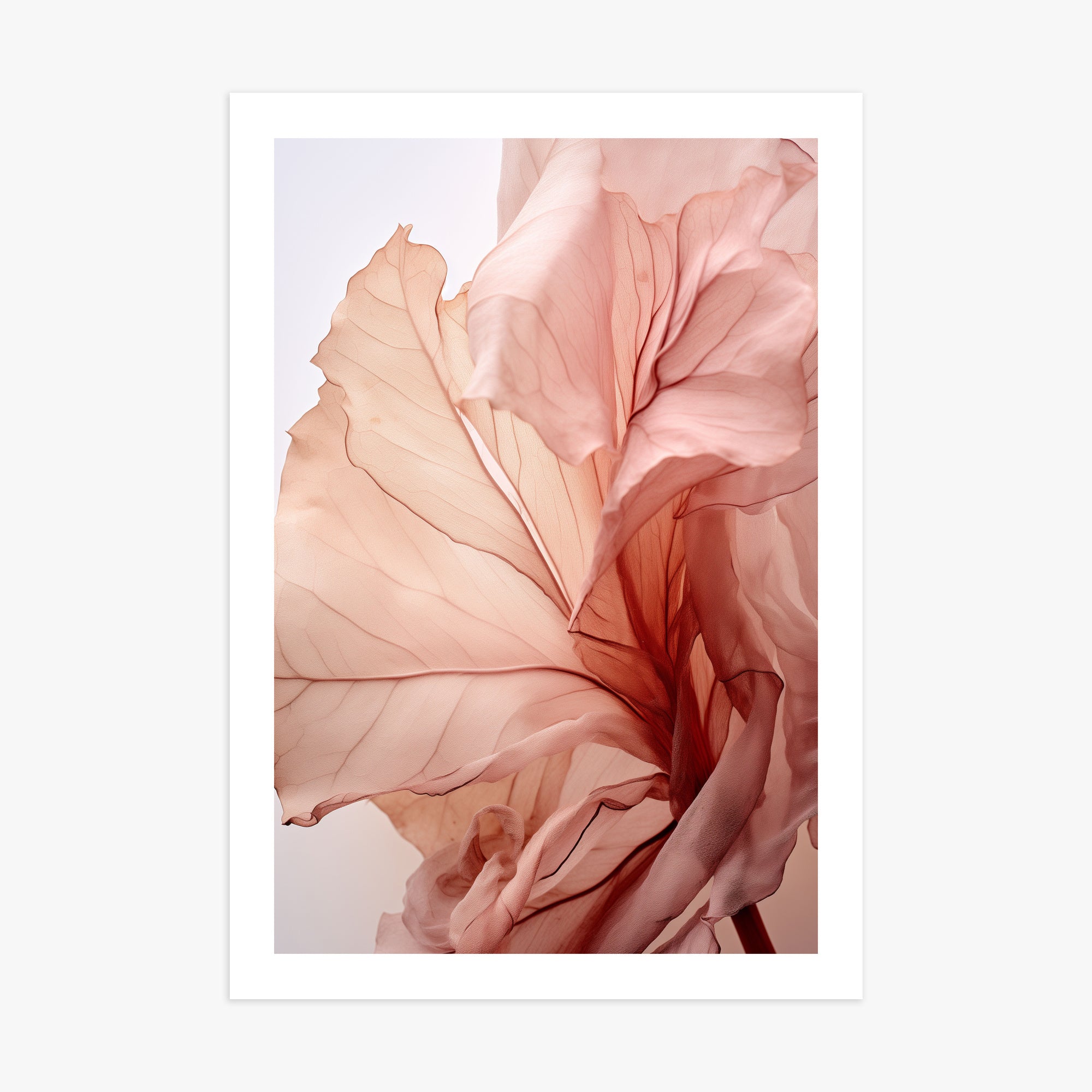 Blush Petal Symphony, 70x100cm Printed Poster