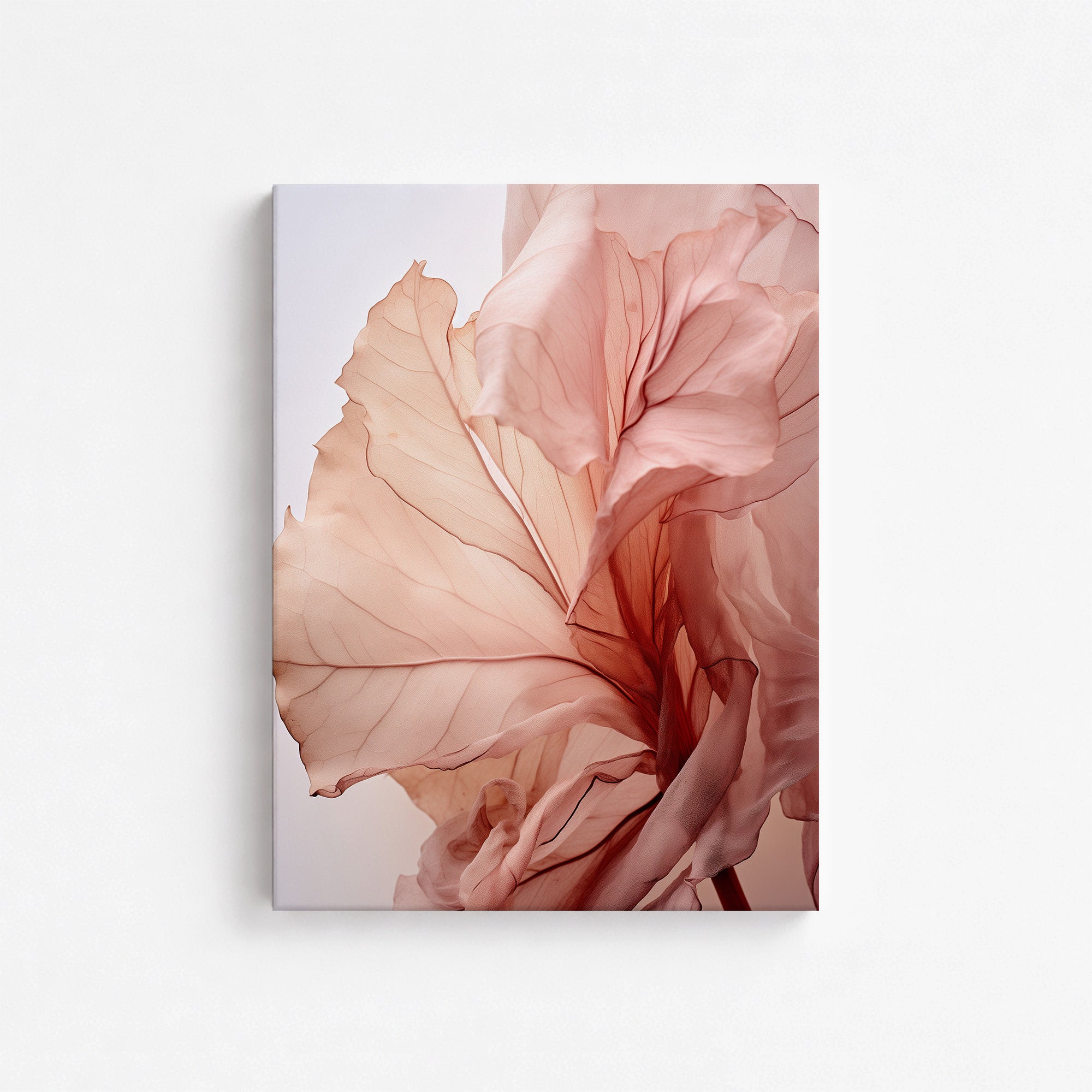 Blush Petal Symphony