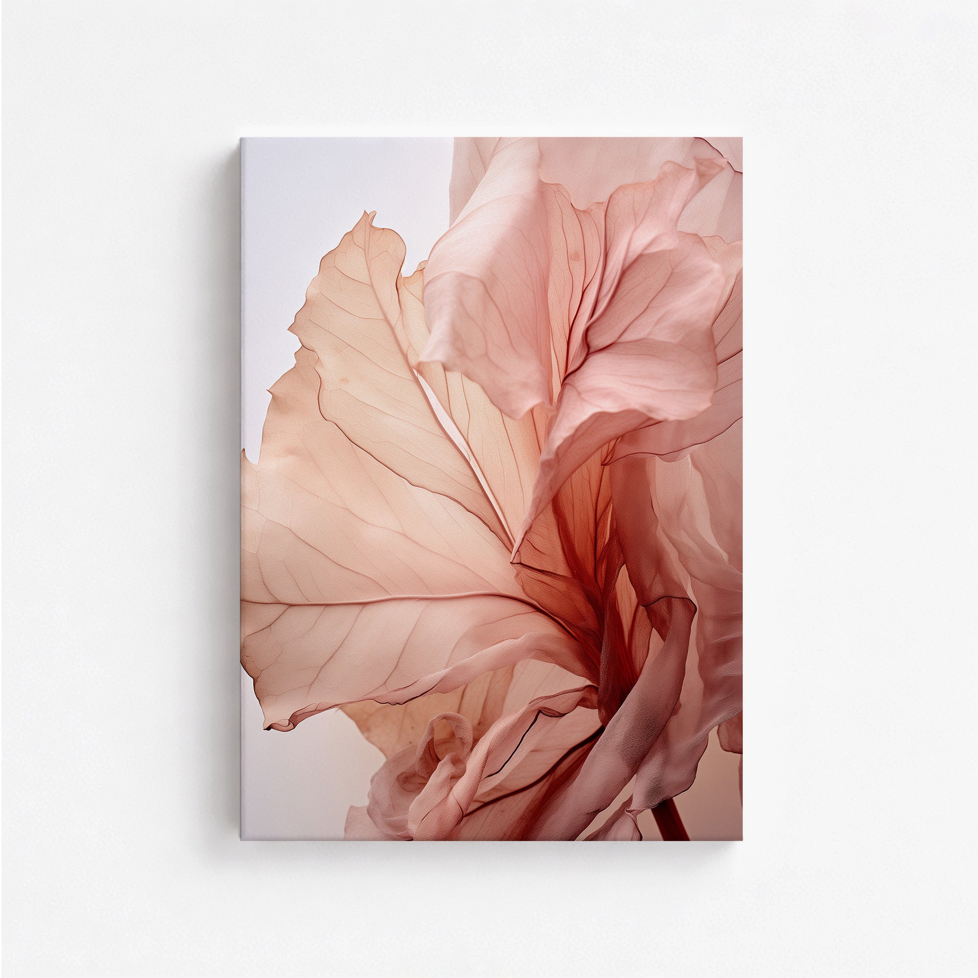 Blush Petal Symphony