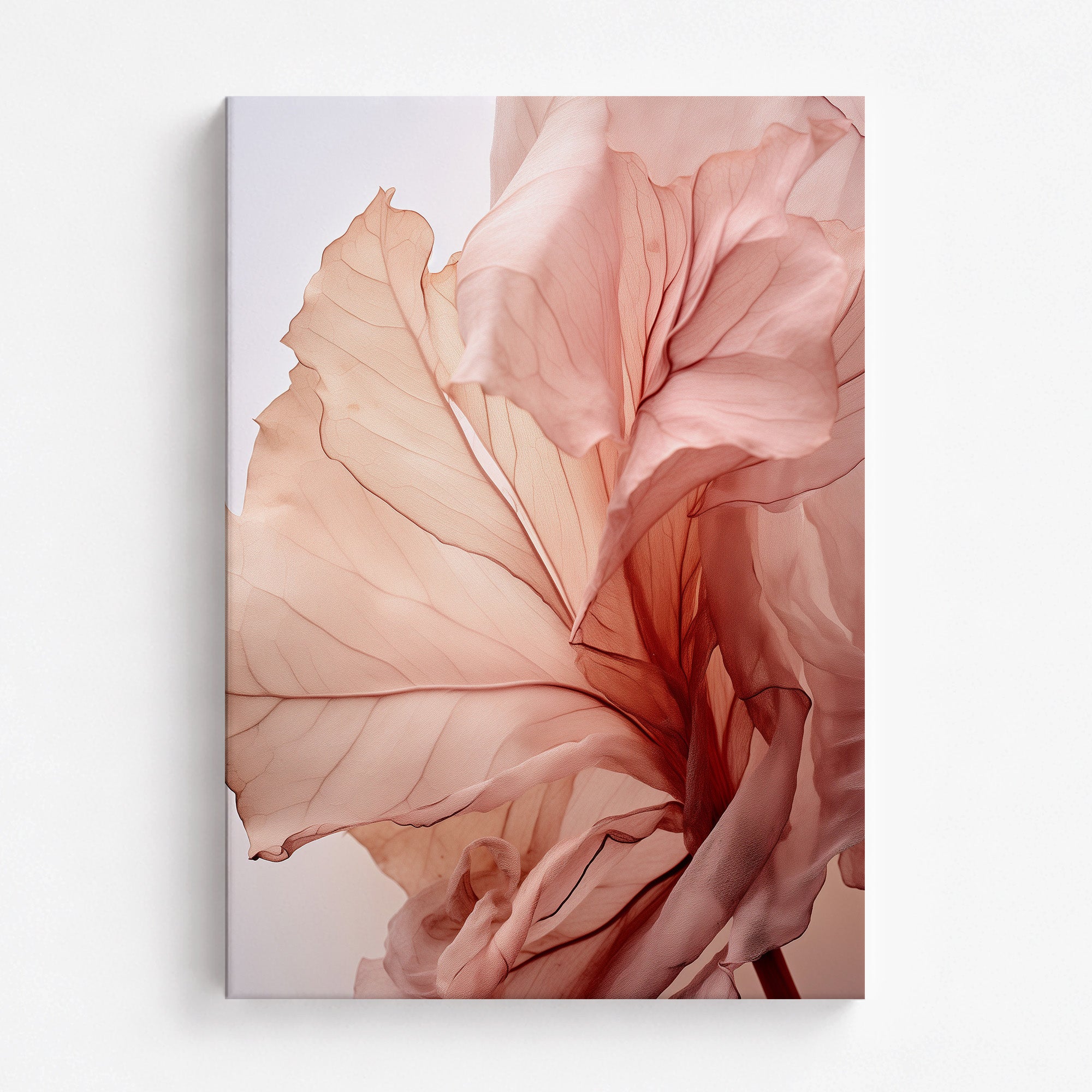 Blush Petal Symphony